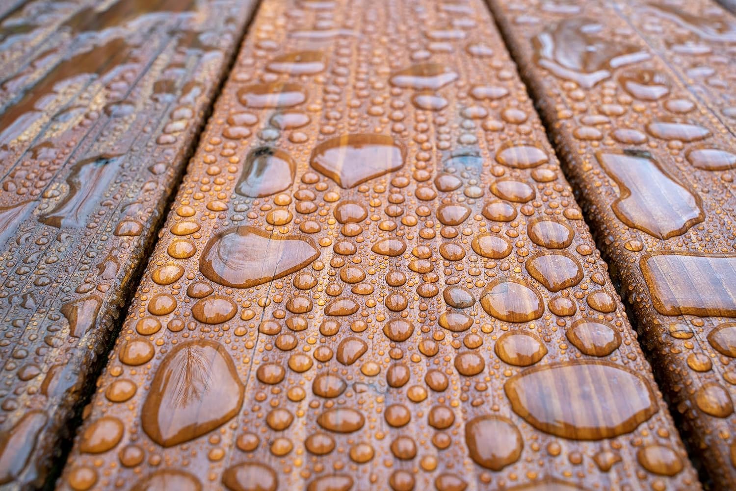 DEFY Extreme Wood Stain and Sealer in One - 1 Gallon Semi-Transparent Waterproof Coating for All Wood Types - Cedar Tone