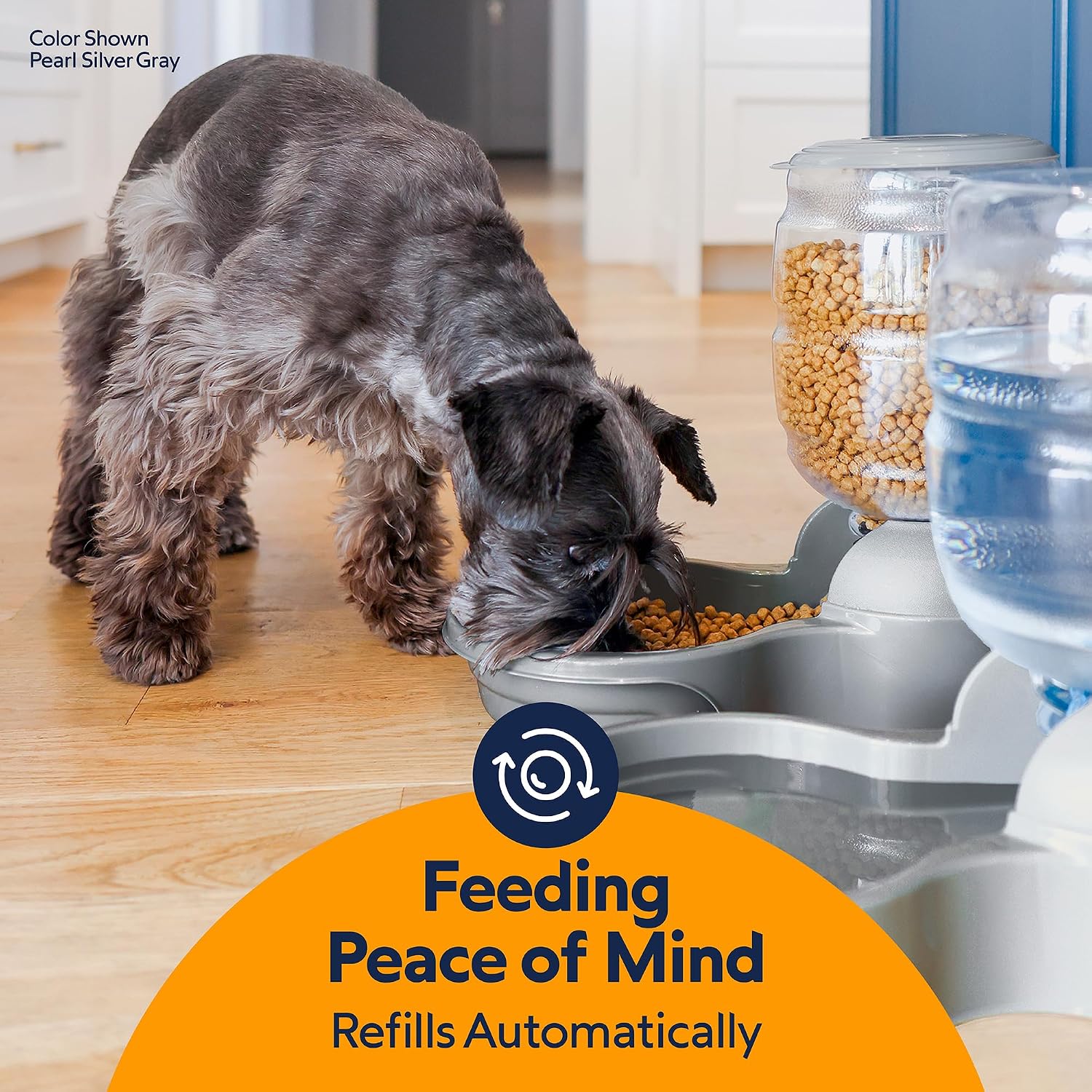 Petmate Replendish Feeder Automatic Cat and Dog Feeder, Pearl Peacock Blue, 10 LB, Made in USA