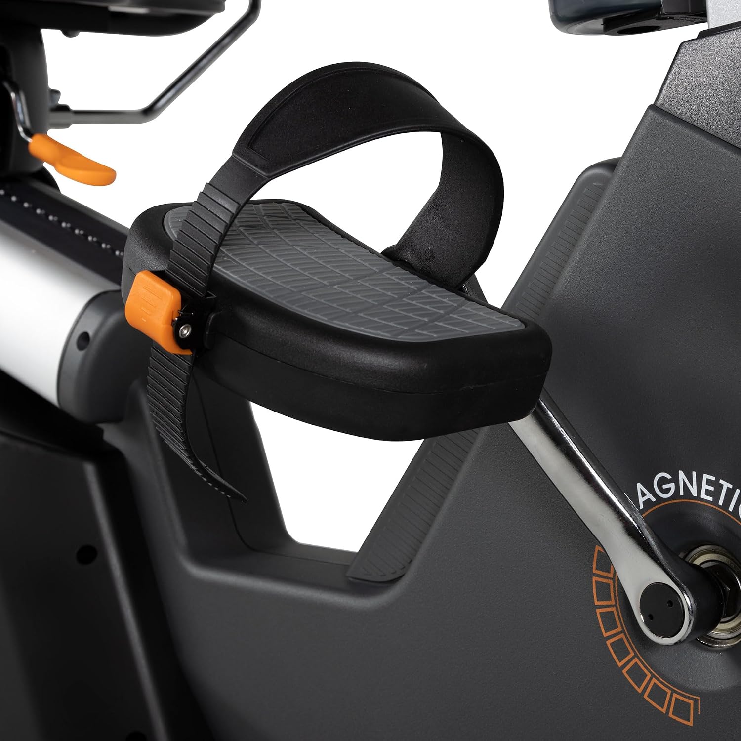 Elite RB X Recumbent Exercise Bike - FreeSync FTMS Bluetooth Smart App Connectivity - Compact 49" (L) - Oversized Soft 4-Way Adj. Seat - 350 lb Cap.