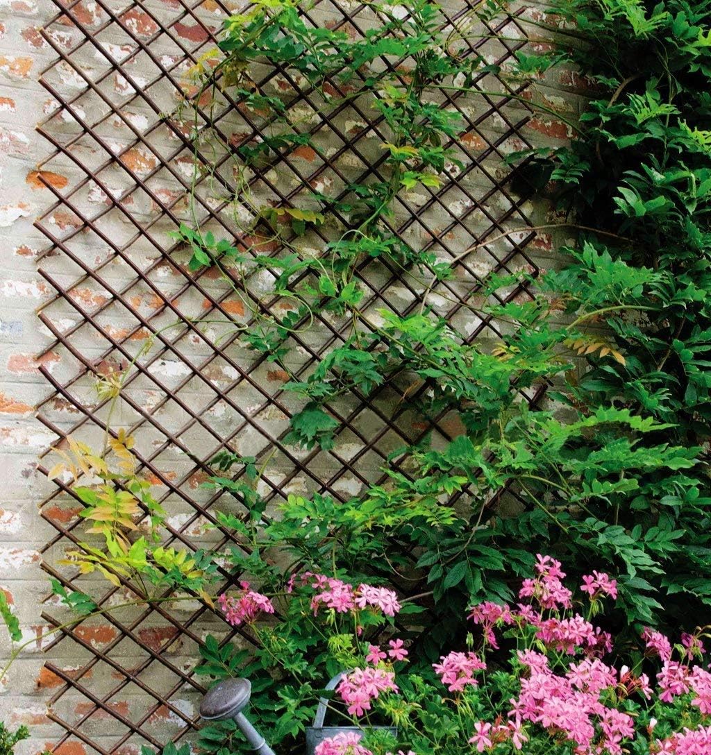 Sumery Nature Willow Trellis Expandable Plant Support Plant Climbing Lattices Trellis Willow Expandable Trellis Fence for Climbing Plants Support