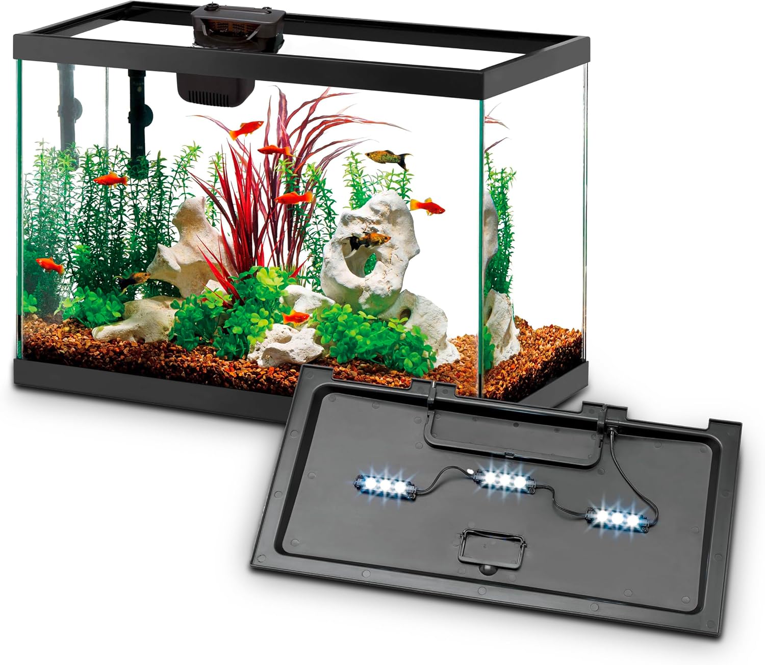 Aqueon Aquarium Fish Tank Starter Kit with LED Lighting 10 Gallon Fish Tank