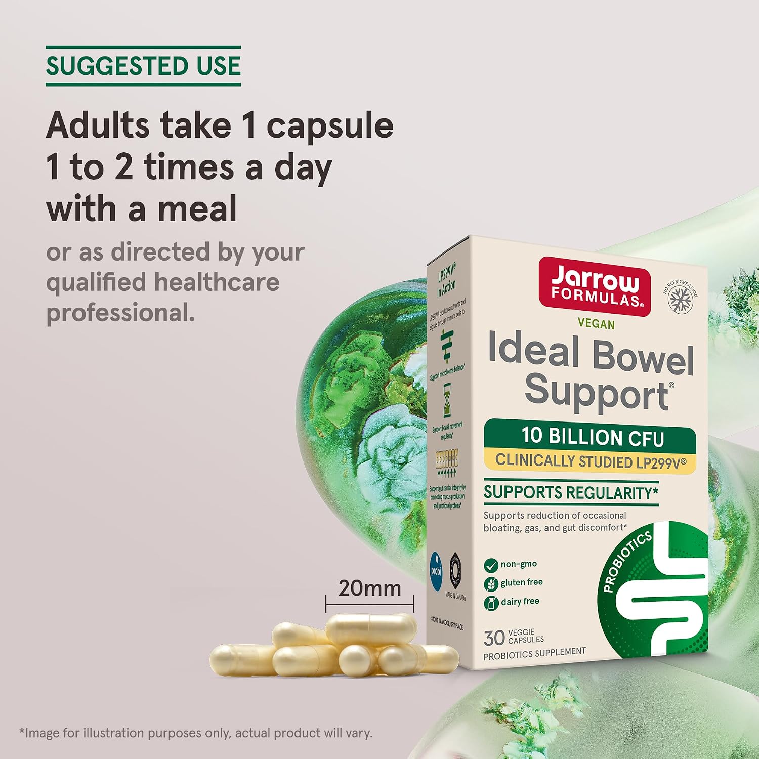 Jarrow Ideal Bowel Support, Probiotic 10 Billion CFU, 30 Capsules | Probiotic Capsules With 10 Billion CFU Per Serving