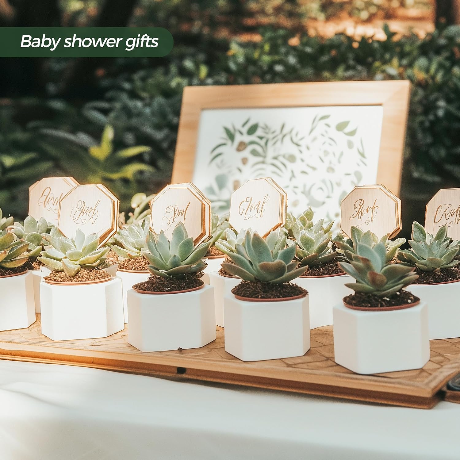 T4U Small White Succulent Planter Pots with Bamboo Tray Hexagon Set of 2, Geometric Ceramic Cactus Plant Holder, Succulent Plant Gifts for Gardener Women Coworker, Home Office Table Desk Decoration | Live cactus bonsai starter, Indoor windowsill decor, O…