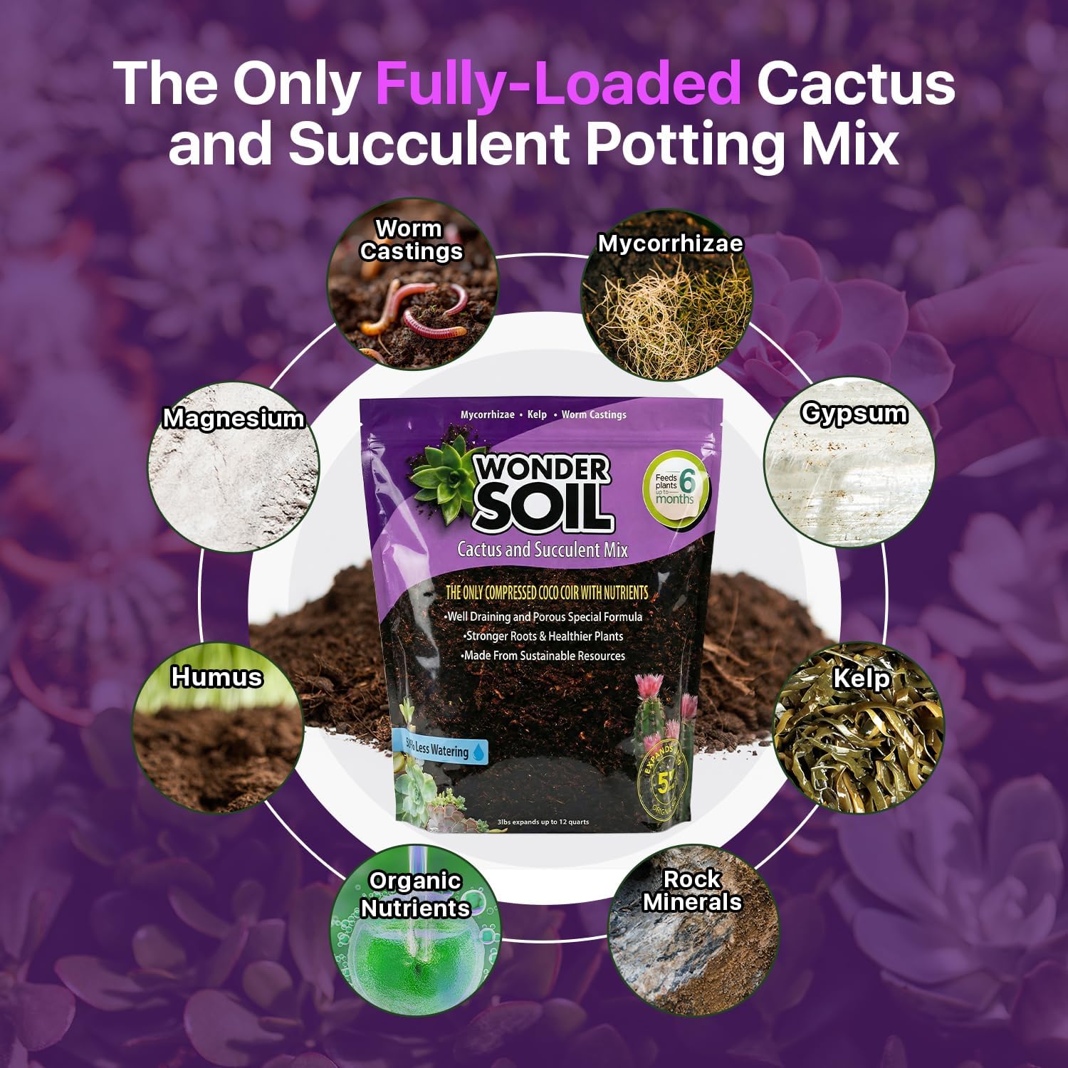 | Organic Cactus & Succulent Soil Mix (12 Quarts) | Fast Draining Living Coco Coir Loaded w/Nutrients | Ready to Plant Indoor/Outdoor Peat-Free
