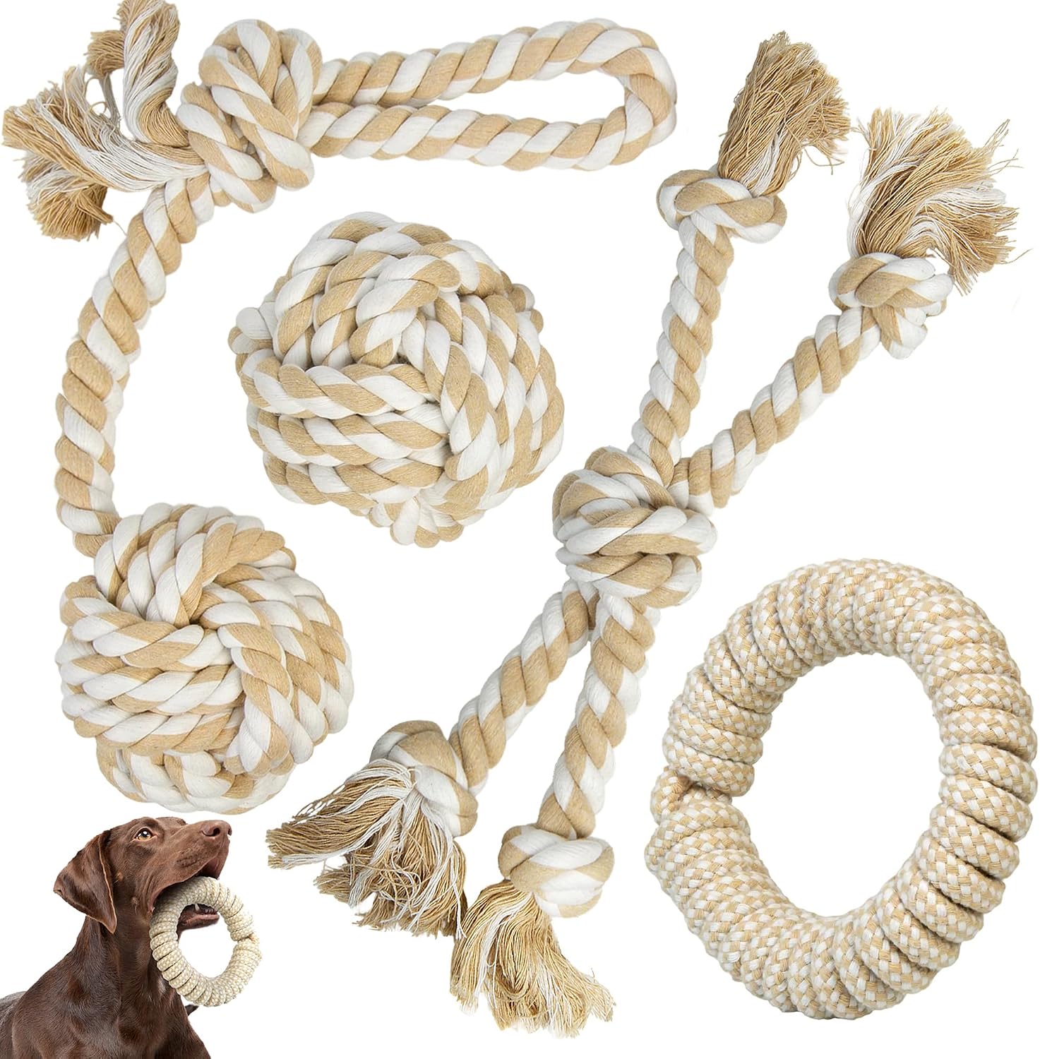 TwoEar Dog Rope Toy 4 Pack - Puppy Teething Toys for Small Breed