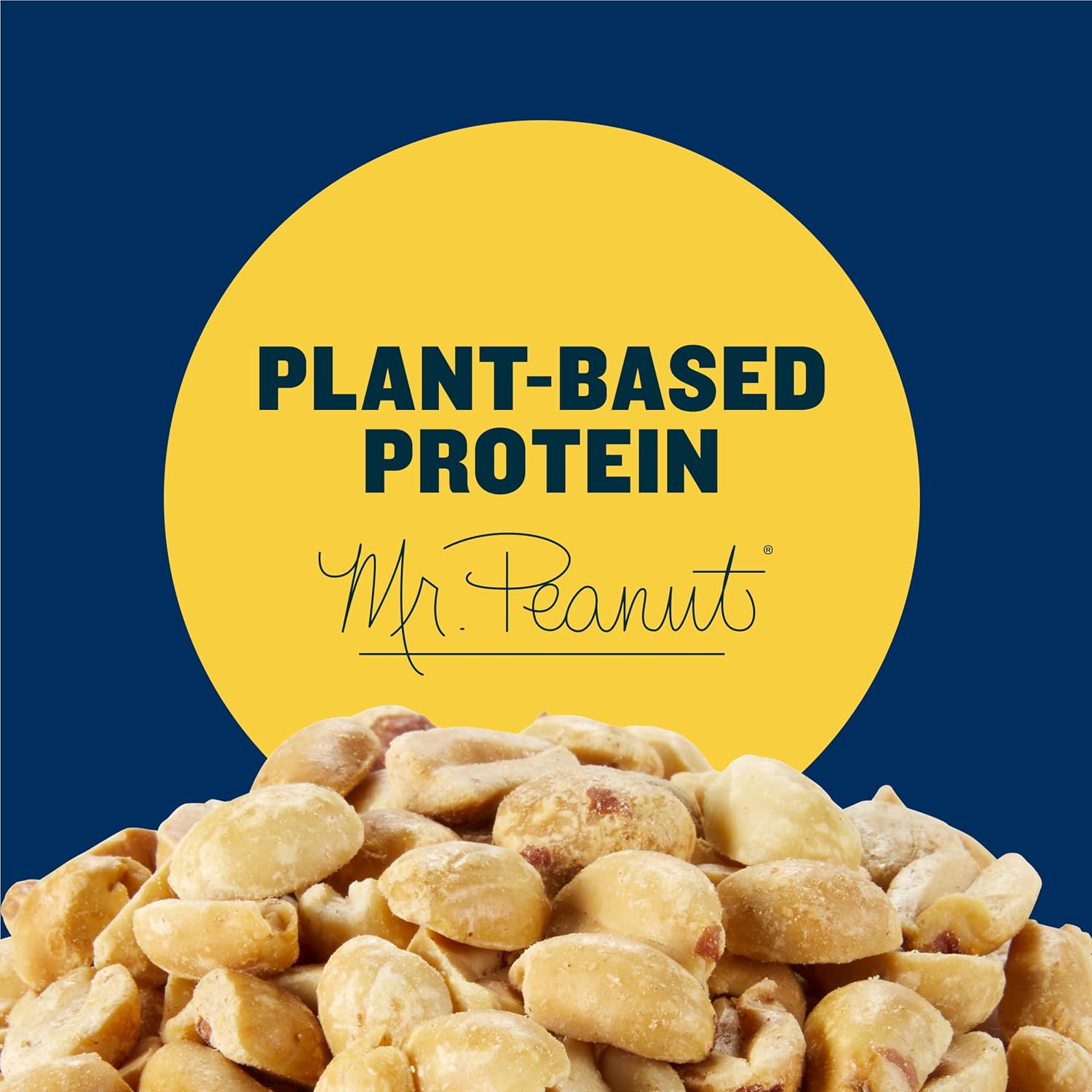 PLANTERS Salted Peanuts, Plant Based Protein Snacks, 12 Oz (1 Ct) | Roasted Salted Nuts. Resealable Canister. Snacks for Adults. Party Mix, Party Snacks