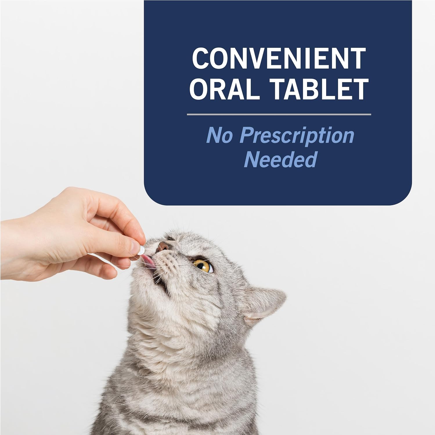 PetArmor CAPACTION (nitenpyram) Oral Flea Treatment for Cats, Cat Flea Treatment Pill, Fast Acting Tablets Start Killing in 30 Minutes, 2-25 lbs