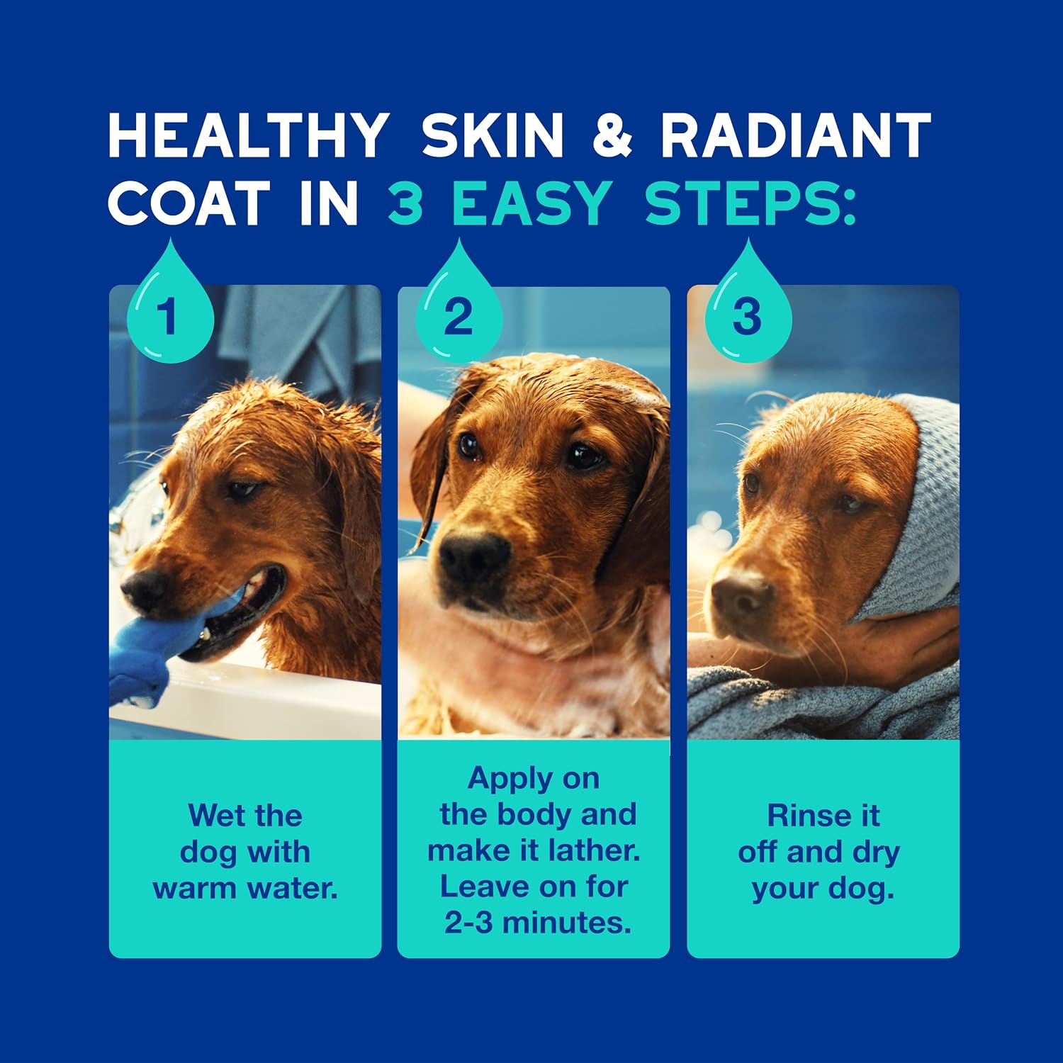 DOUXO SPA Dog Shampoo for Smelly Dogs, 16 fl oz | Hydrates the Skin, Removes Bad Odor, Leaves the Coat Soft and Smelling Great, Ultra-Safe Formula
