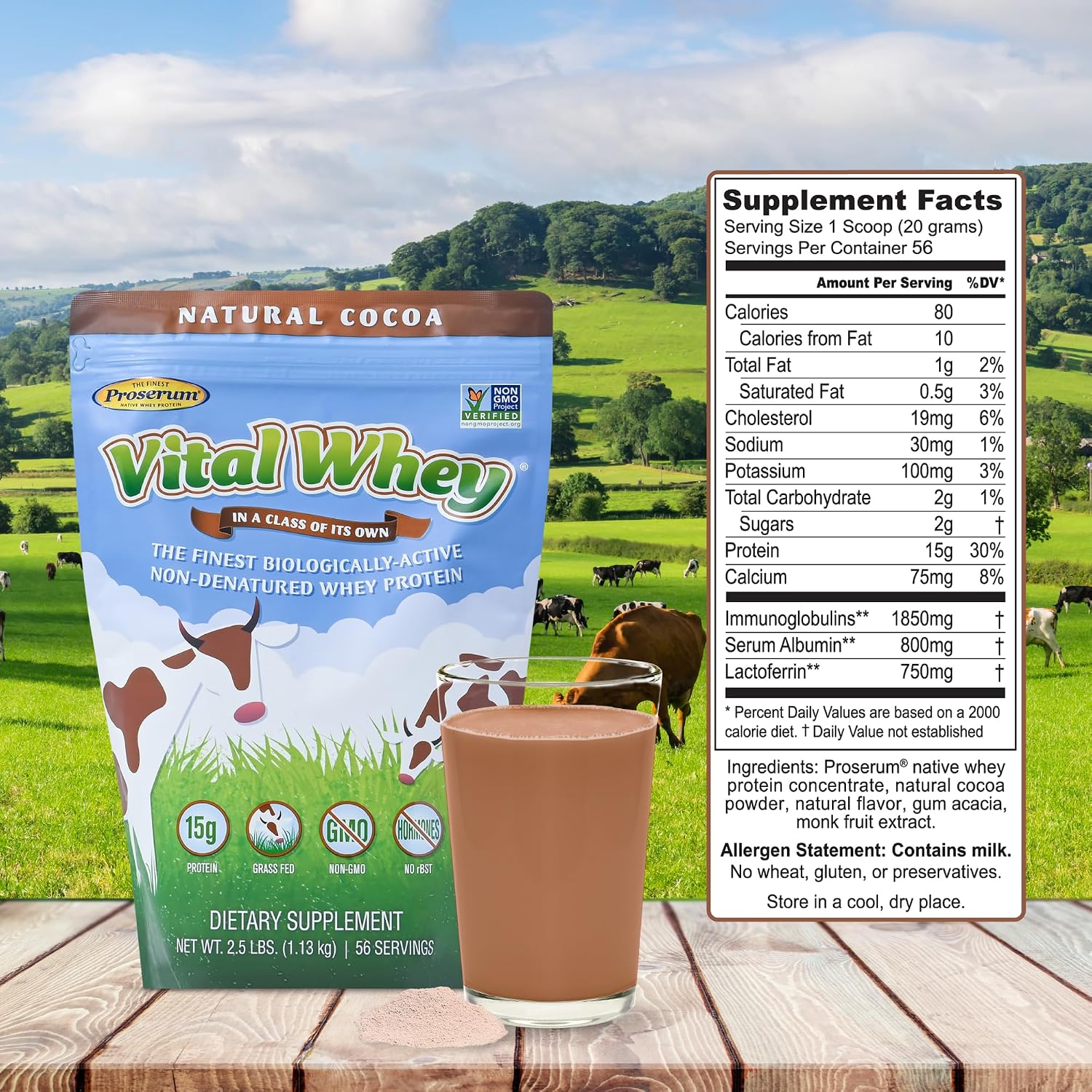 Vanilla Grass-Fed Whey Protein Powder, Immune Vitality, Recovery, 600g | 15g protein & 3.5g BCAAs per scoop | Just 5 clean ingredients | Monk fruit sweetened | Tested for heavy metals & purity