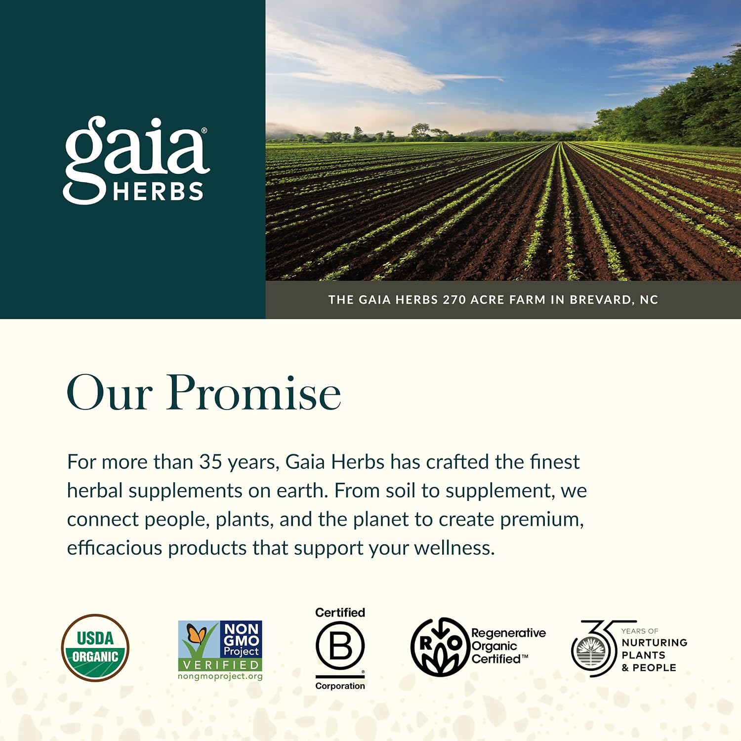 Gaia Herbs Menopause Support Daytime - Helps Support Hormone Balance & Well-Being for Women* - with Vitex, Black Cohosh