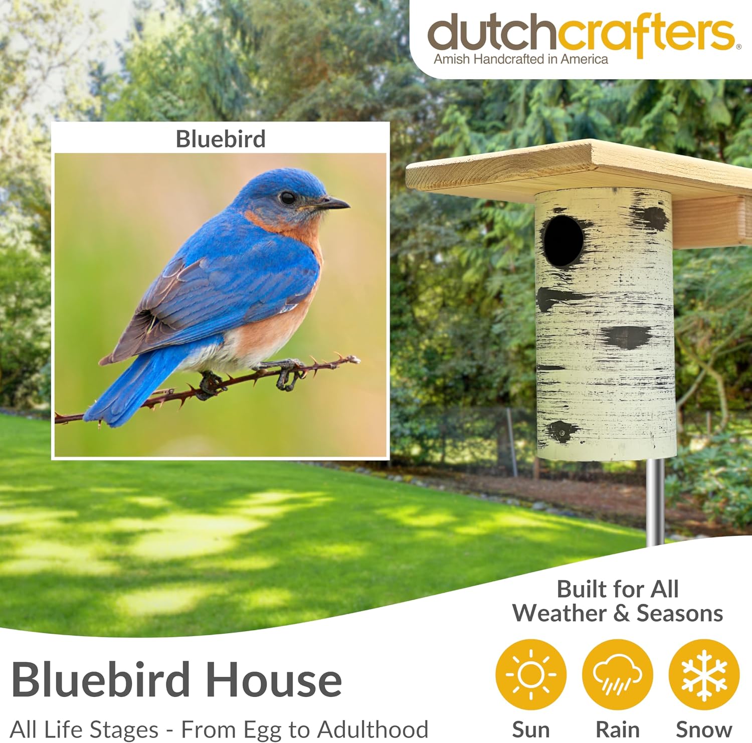 DutchCrafters Pole Mount Gilbertson Bluebird House with Removable Base, Durable Weatherproof Birdhouse Blue Bird Nesting Box for Outdoors (Poly Roof, 1 1/2" Entrance Hole)