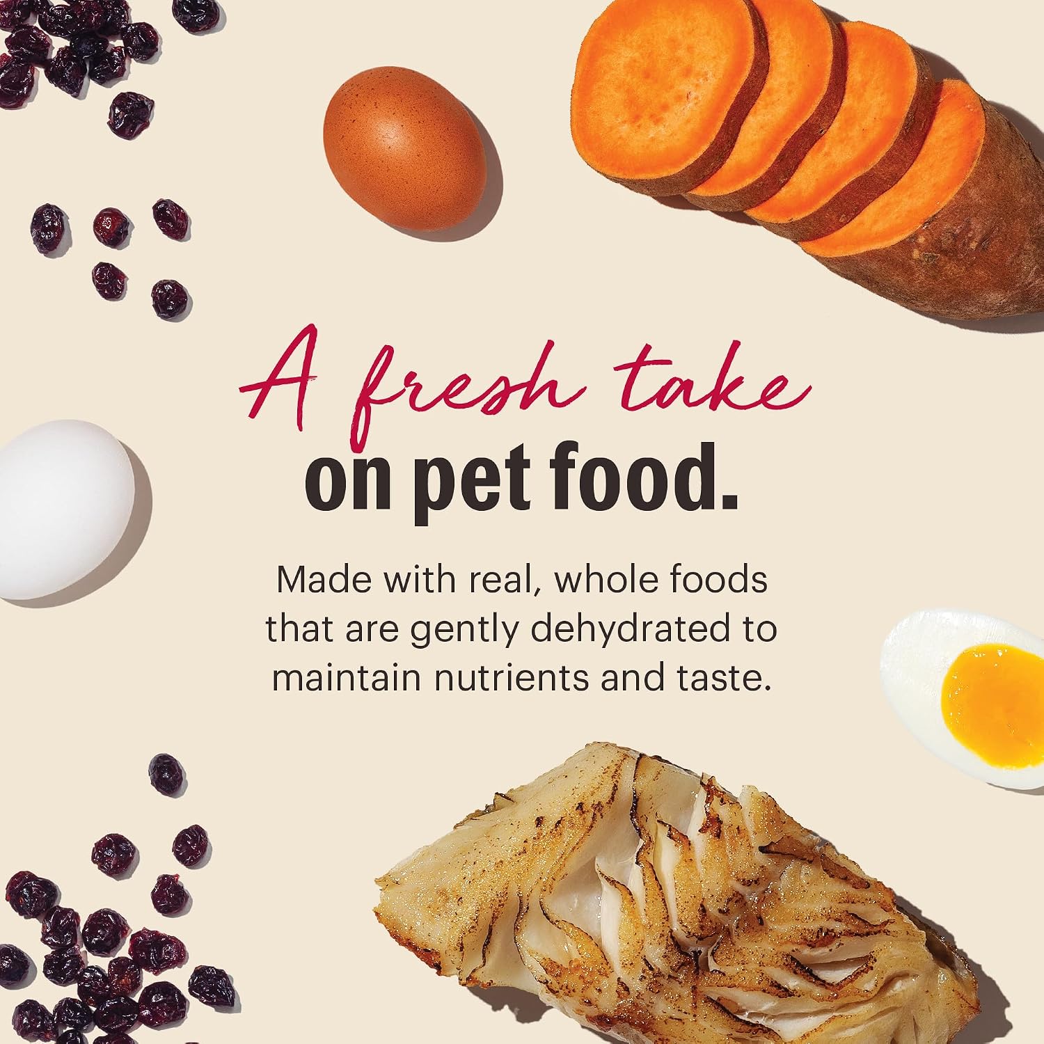 The Honest Kitchen Human Grade Wholemade™ Dehydrated Grain Free Dog Food – Complete Meal or Dog Food Topper – Chicken 4 lb (Makes 16 lbs)