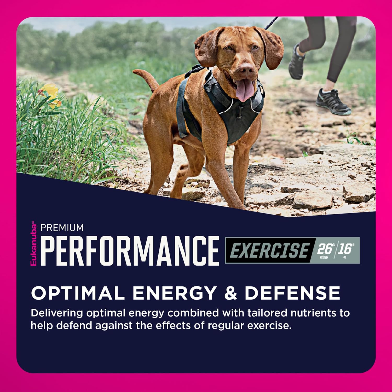 Eukanuba Adult Premium Performance 26/16 Exercise Dry Dog Food, 28 lb Bag