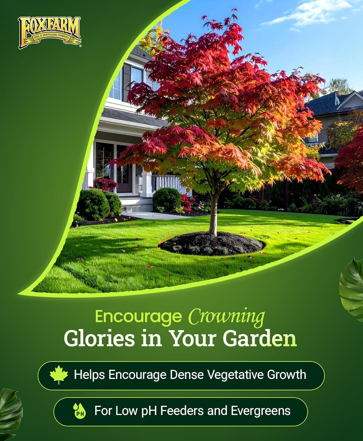 FoxFarm Happy Frog Japanese Maple Fertilizer - Supports Vegetative Growth & Strong Branch Development - 4-3-4 Blend with Soil Microbes & Mycorrhizal