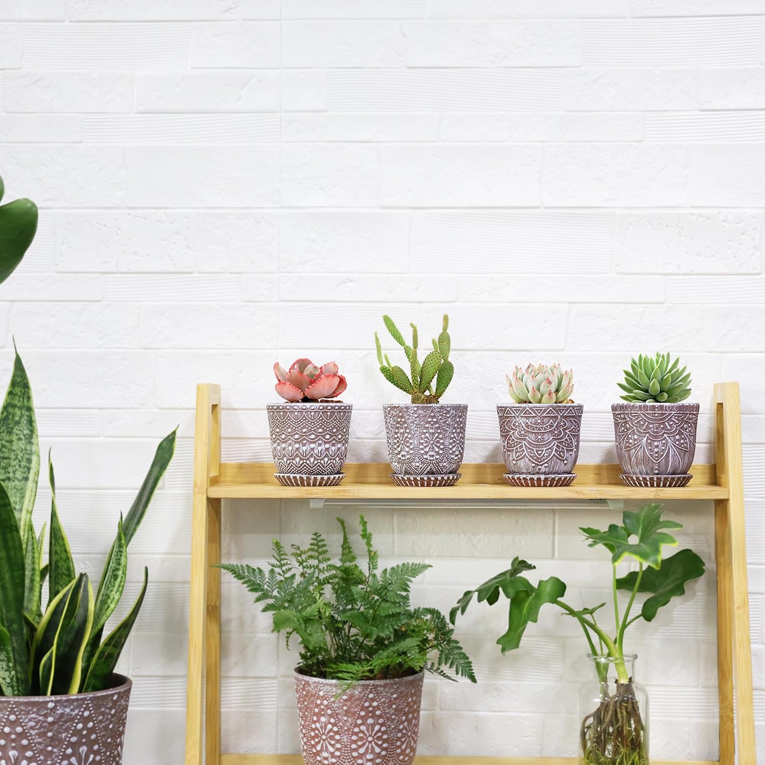 Gepege Ceramic Plant Pots, 6 Inch Indoor Planters with Drainage & Saucers