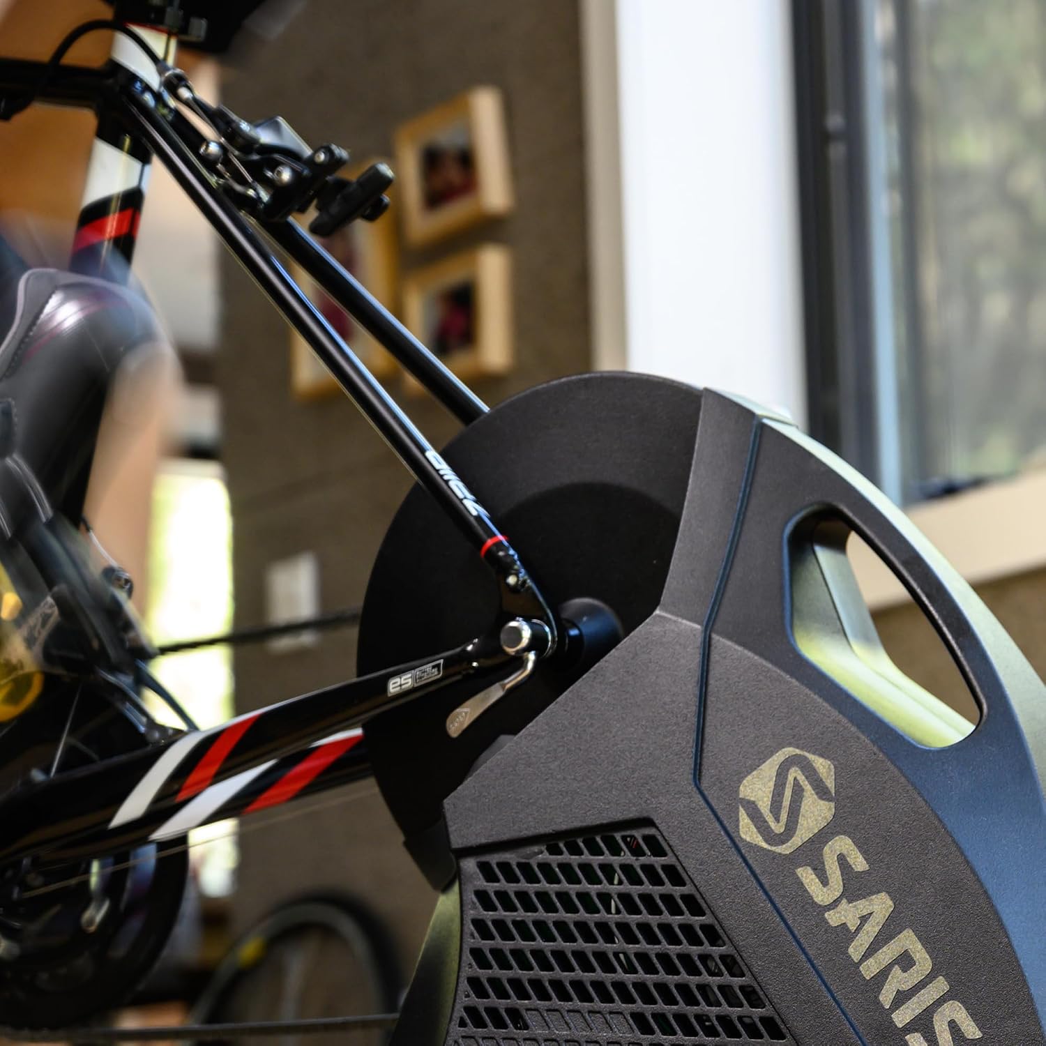 Saris Trainer Skewer