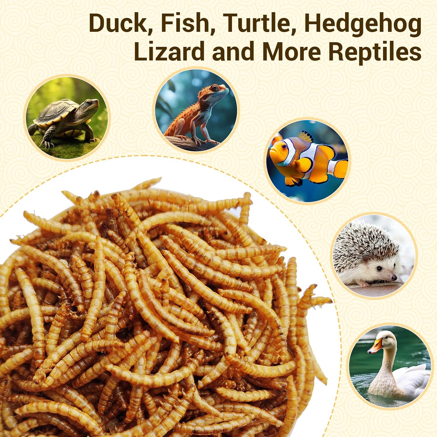 20lb Dried Mealworms for Chickens Duck High Protein Birds Treat