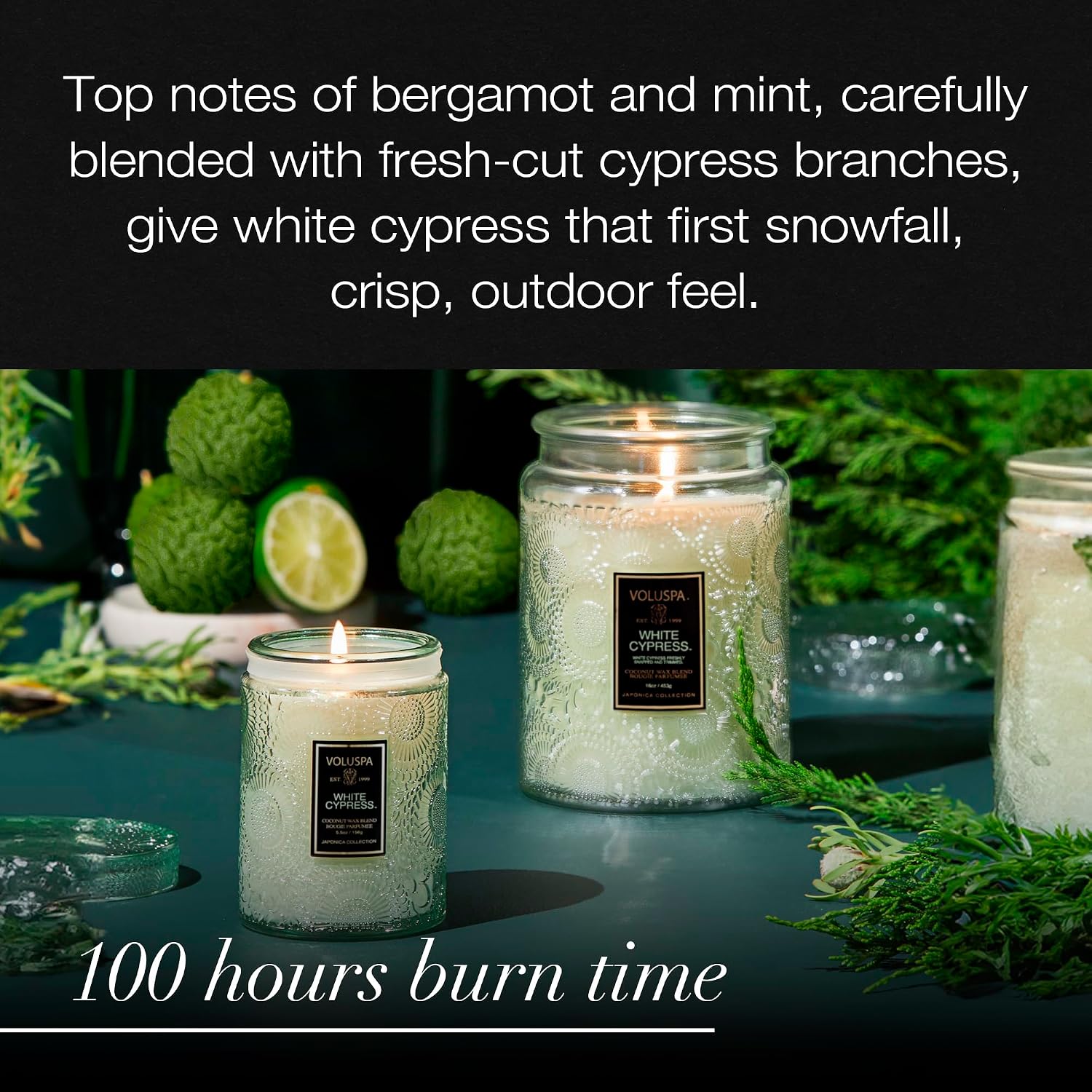 Voluspa Baltic Amber, Small Candle Jar, 5.5 oz, 50 Hour Burn Time, Coconut Wax for Clean Burning, Handcrafted in the USA