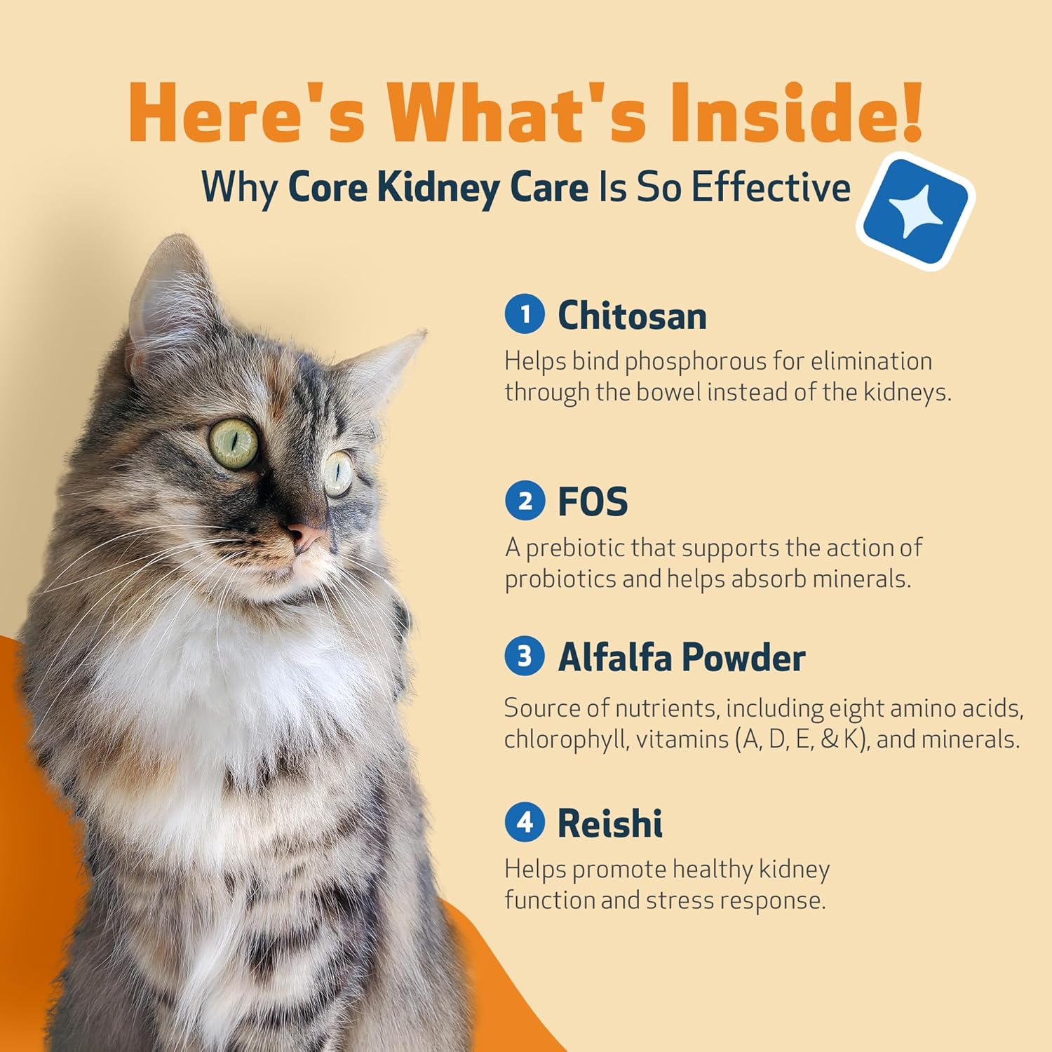 Pet Wellbeing Kidney Support Gold for Cats - Supports Normal Kidney Function & Detox, Healthy Hydration & Energy with Rehmannia & Dong Quai - NASC Certified & Vet-Formulated - 2oz Liquid Formula | NASC Certified & Vet-Formulated Liquid Kidney Support Sup…