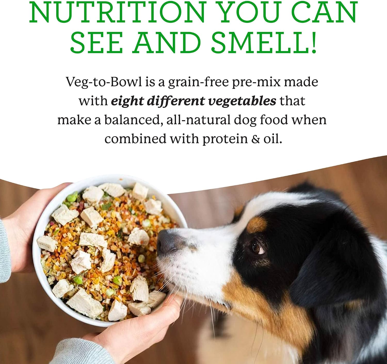 Dr. Harvey's Veg-To-Bowl Fine Ground Dehydrated Vegetable Pre-Mix for Dogs, 7-Pound Bag | Dehydrated Vegetable Pre-Mix