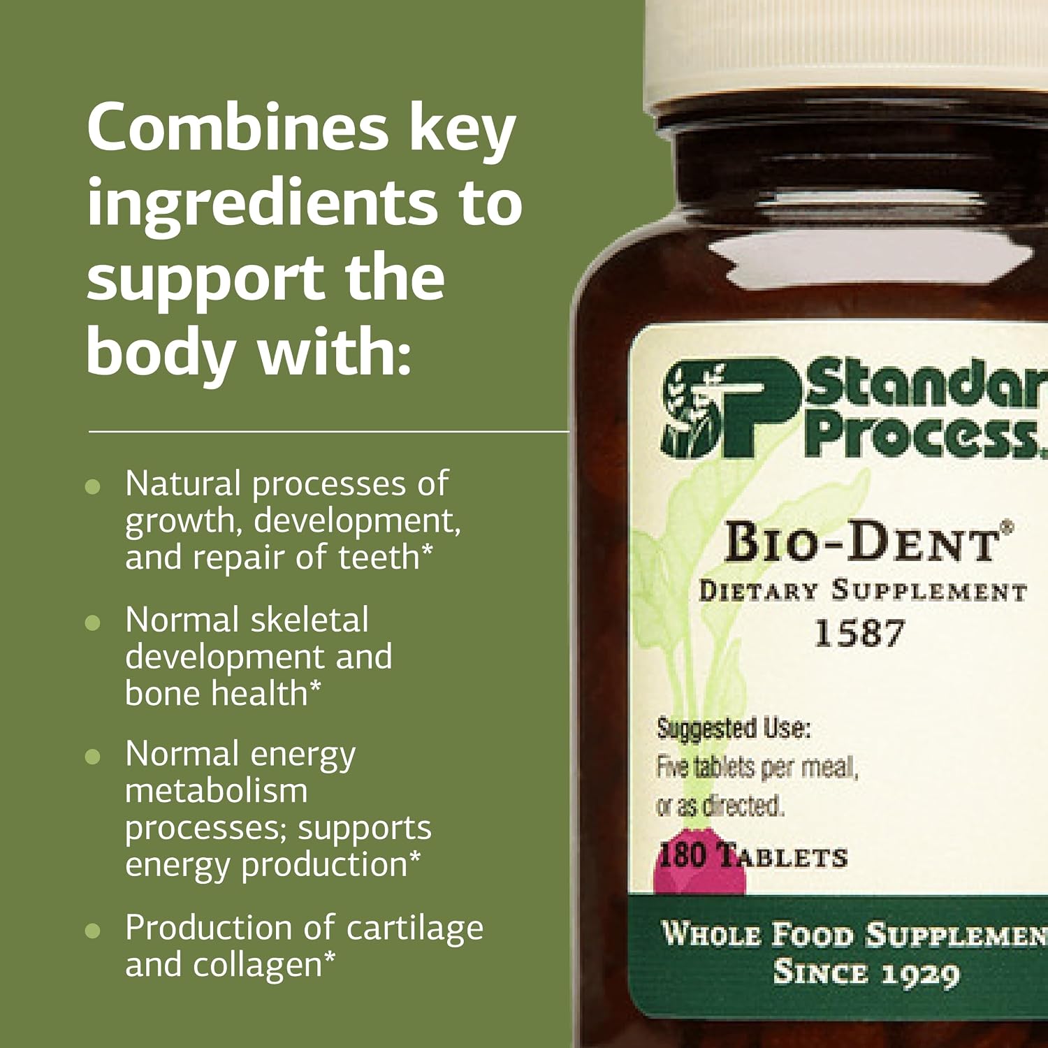 Standard Process Bio-Dent - Supports Bone & Muscle Health - Aids the Production of Cartilage & Collagen - Supports Energy Metabolism - Whole