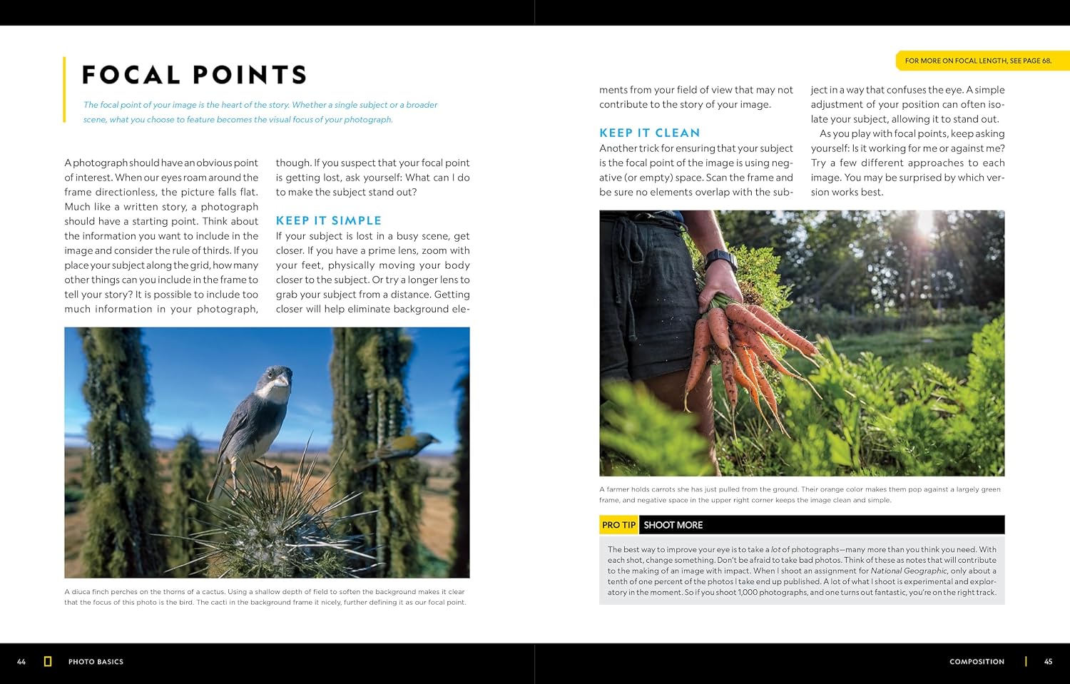National Geographic Photo Basics: The Ultimate Beginner's Guide to Great Photography
