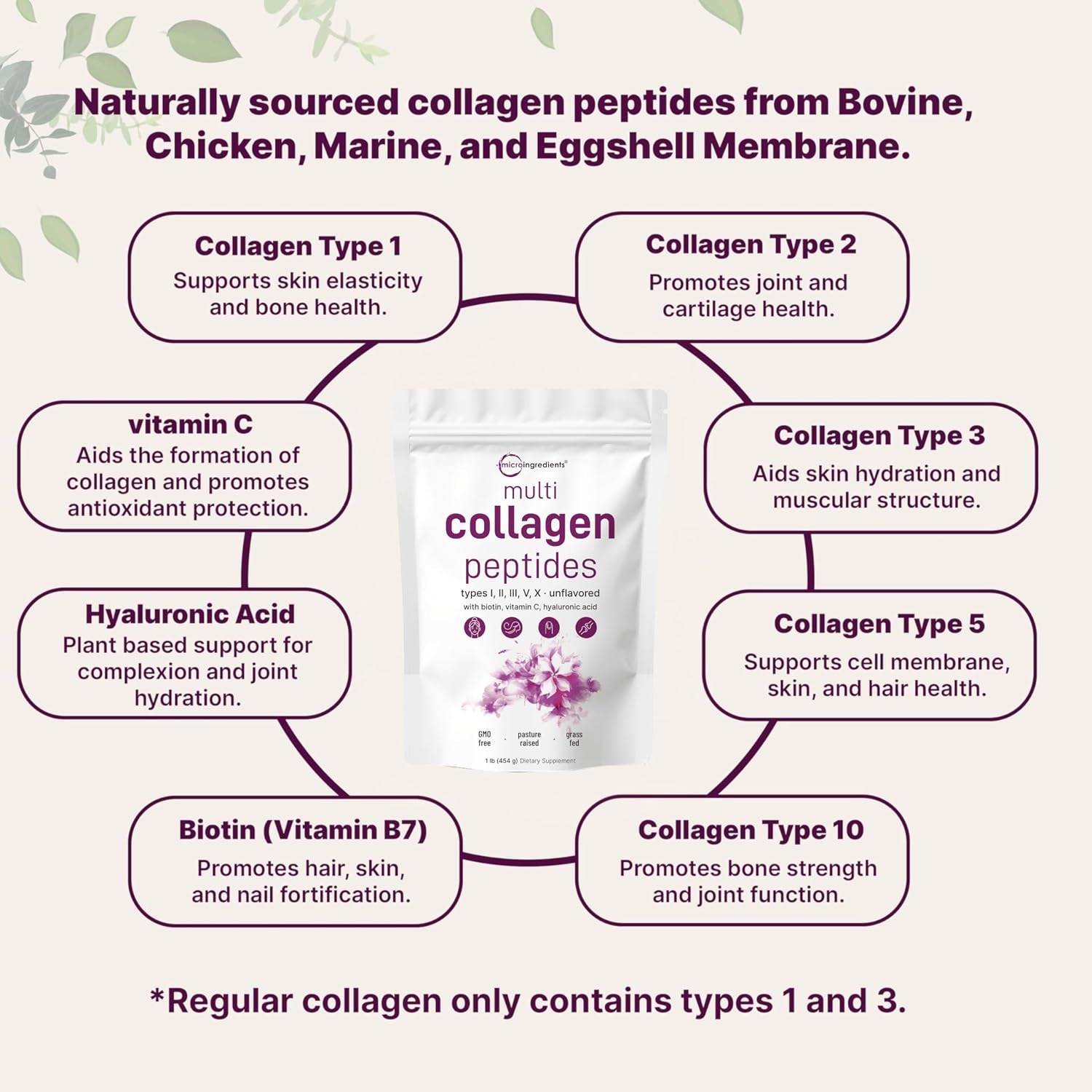 Micro Ingredients Multi Collagen Peptides Powder, 2lb (82 Servings) | Hydrolyzed Type I, II, III, V, X with Biotin, Hyaluronic Acid & Vitamin C. Unflavored Collagen for Women & Men, Easy Dissolve