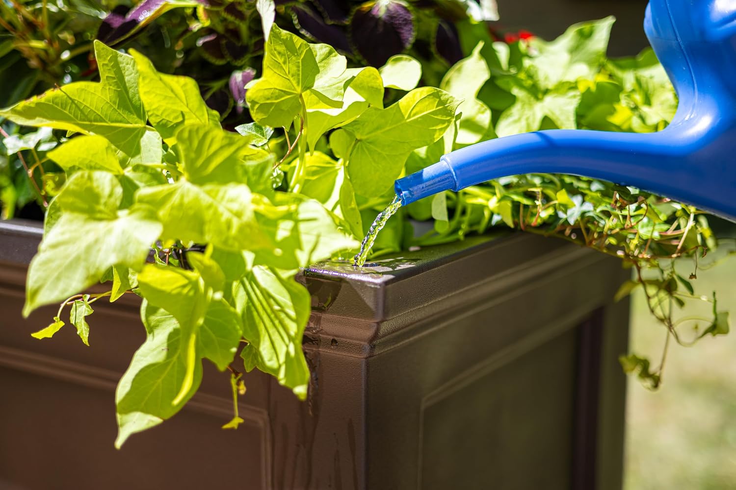 Mayne Fairfield 16in Self-Watering Square Planter, Black