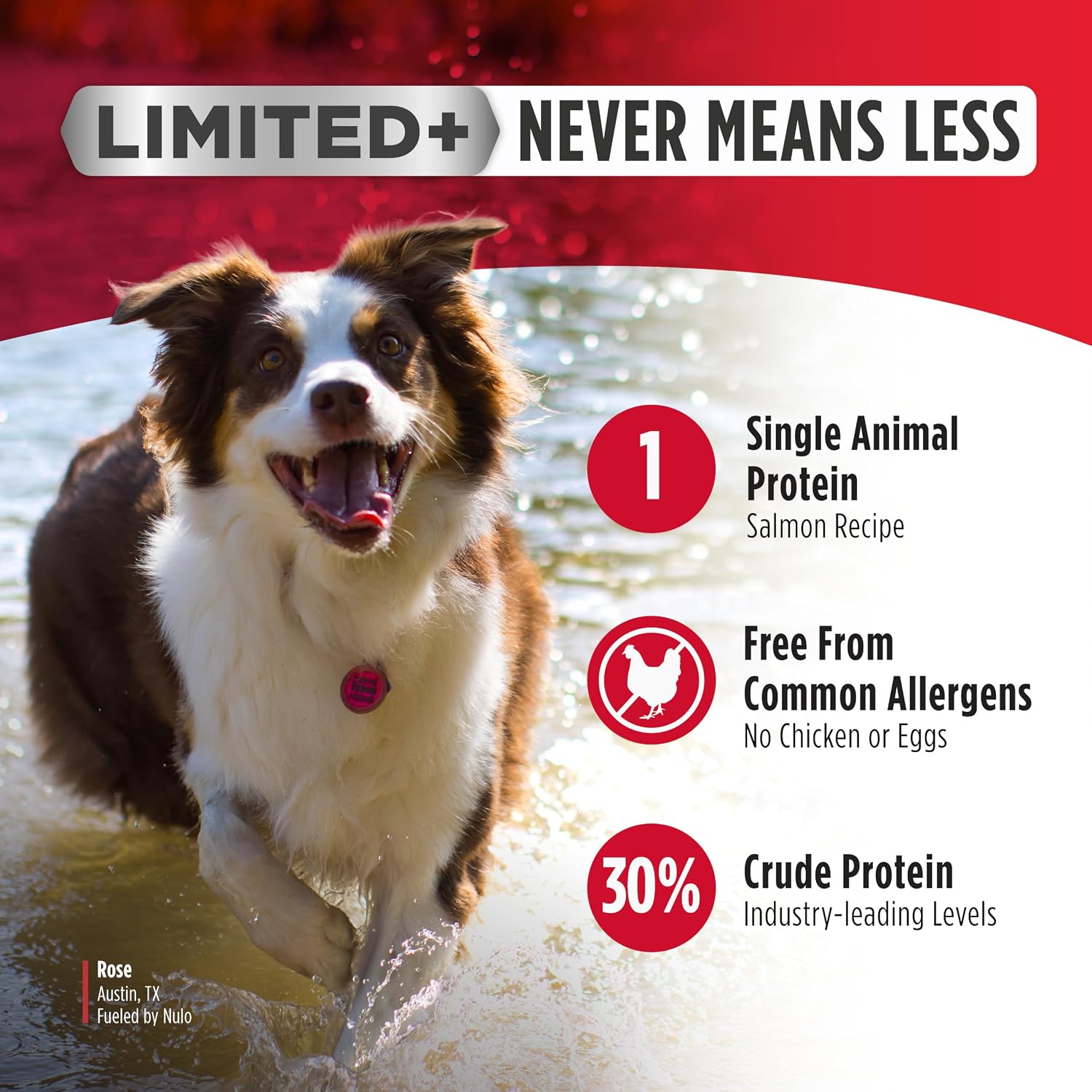 Nulo Freestyle Limited Ingredient Dry Dog Food for Small Breeds - High Protein Turkey Recipe, Natural Grain Free Dog Food for Food Sensitivities