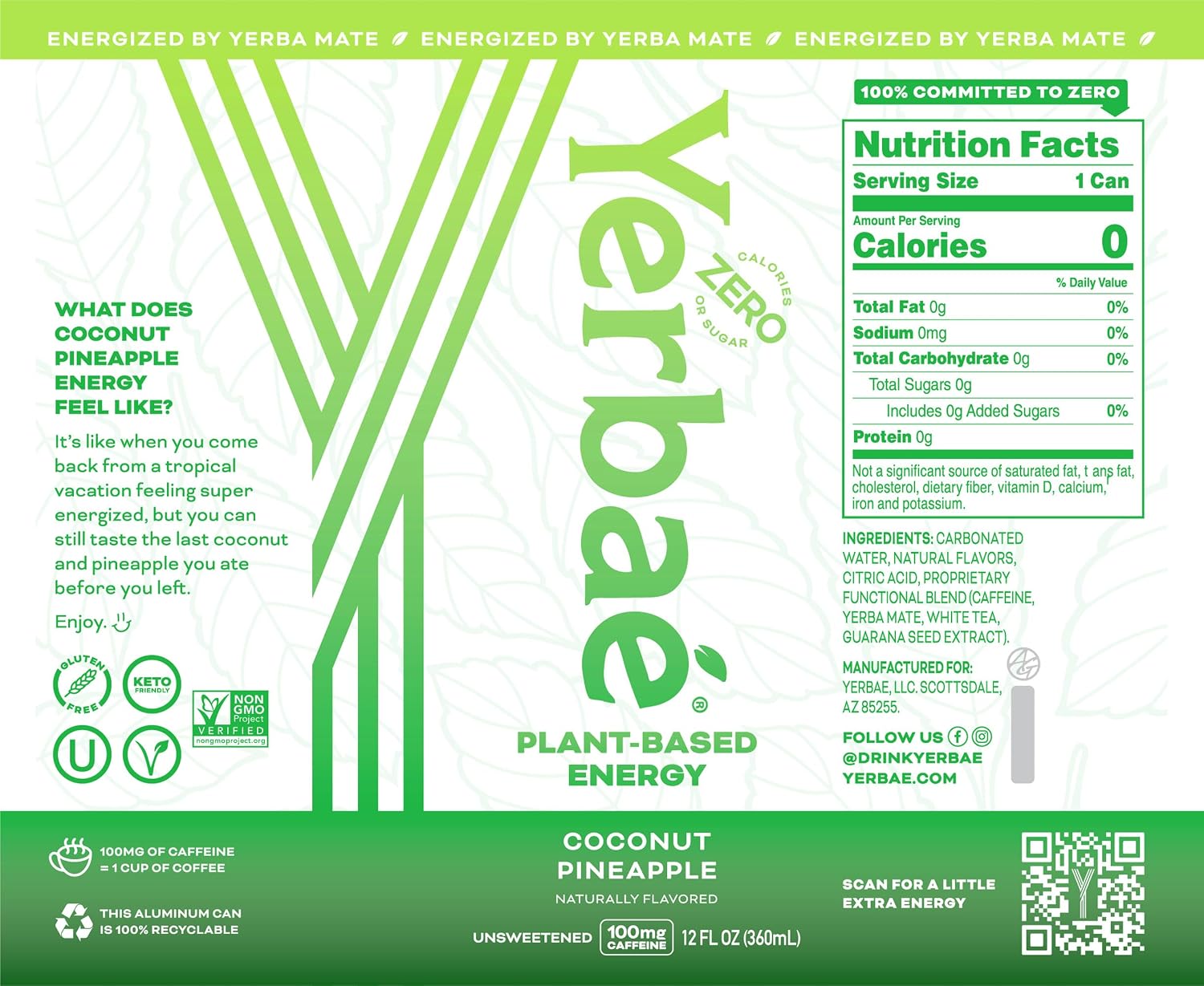Yerbaé Energy Seltzer - Variety Performance Pack. No Sugar/Calories/Carbs. Energized by Yerba Mate Naturally Caffeinated Plant-Based, Healthy Alternative to Coffee/Sugary Sodas, Pack of 12, 12oz cans