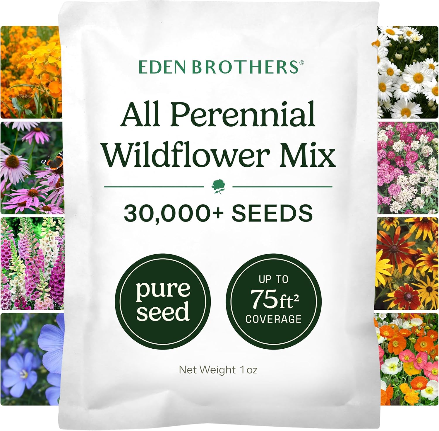Eden Brothers All Perennial Wildflower Mixed Seeds for Planting, 1 lb, 480,000+ Seeds with Lupine, Shasta Daisy | Attracts Pollinators, Plant in Spring or Fall, Zones 3, 4, 5, 6, 7, 8, 9, 10