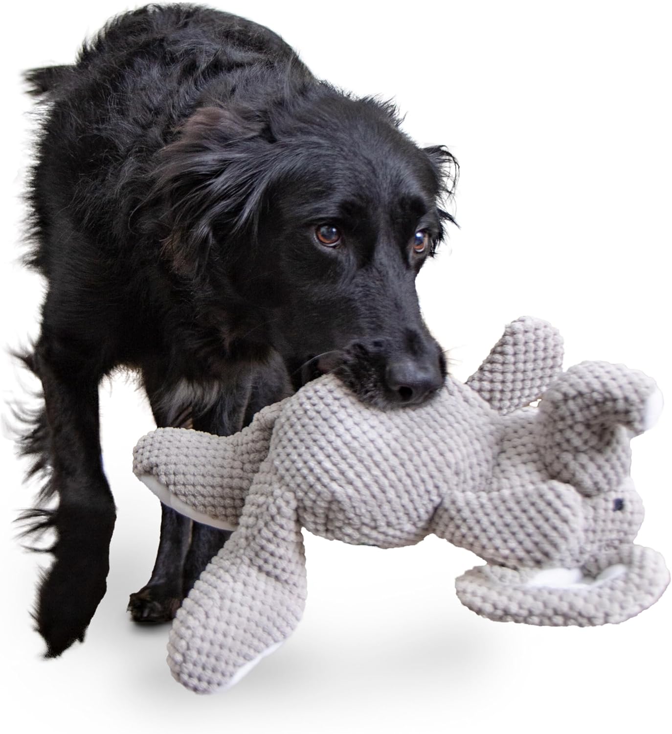 goDog Checkers Just for Me Skinny Cow Squeaky Plush Dog Toy, Chew Guard Technology - White, Mini