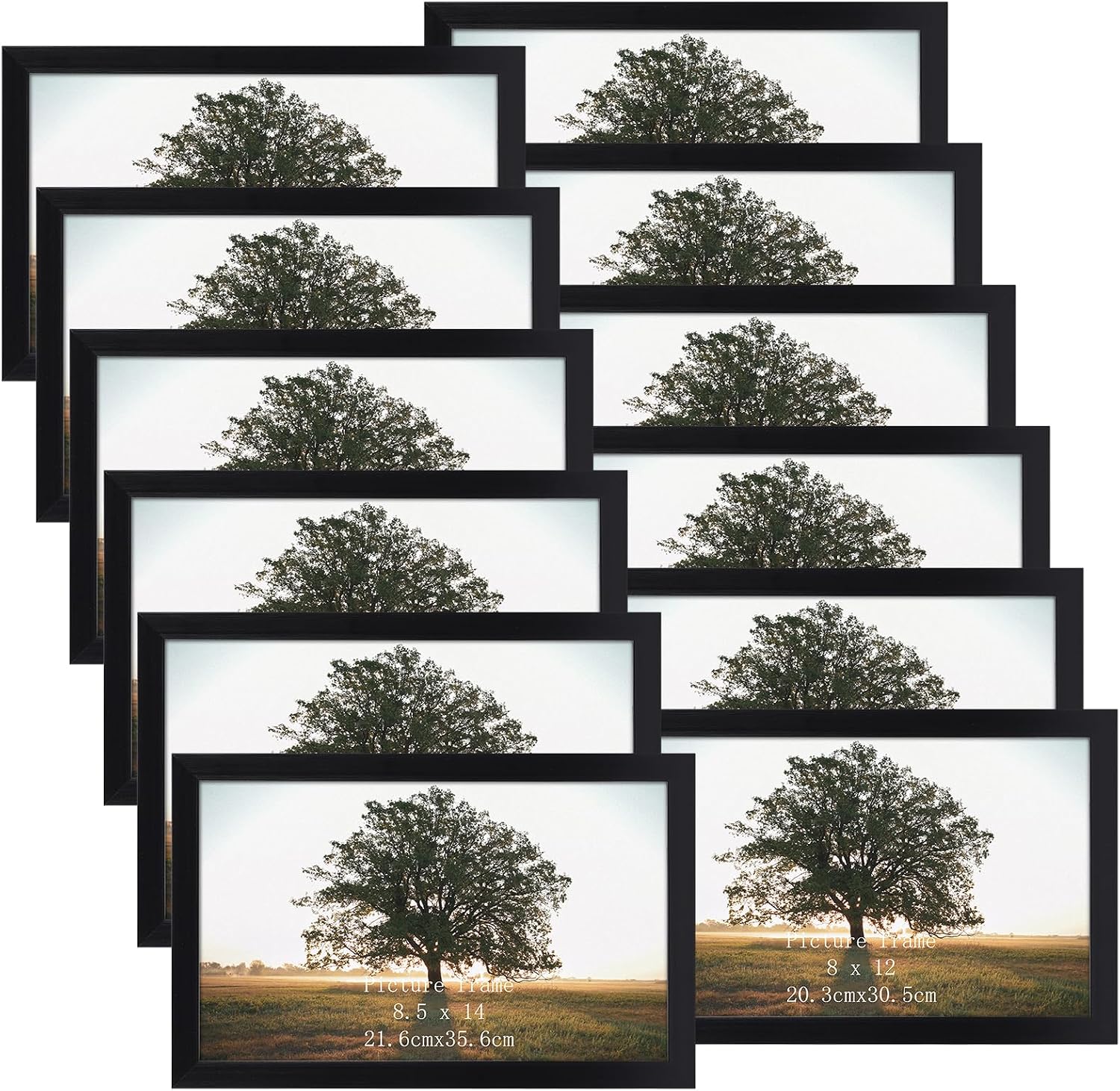 Giftgarden Black 8x10 Picture Frame Bulk, Multi 8 x 10 Photo Frames Set for Wall Hanging or Tabletop, 12 Pack