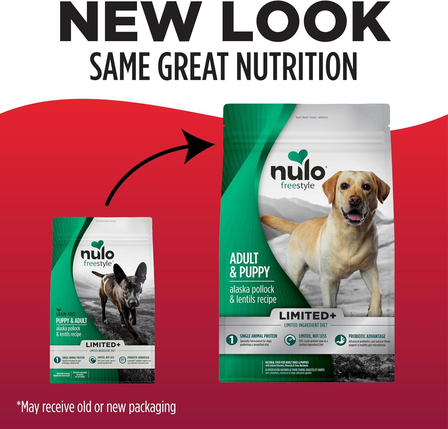 Nulo Freestyle Limited Ingredient Dry Dog Food for Small Breeds - High Protein Turkey Recipe, Natural Grain Free Dog Food for Food Sensitivities