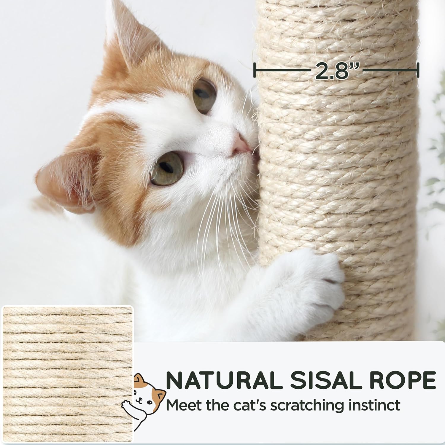 Yaheetech 63in Sturdy Large Cat Tree for Indoor Heavy Cats, Tall Tower