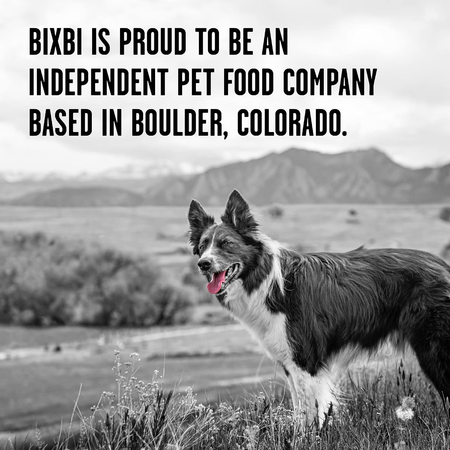 BIXBI Liberty Freeze-Dried Dog Food Topper & Treats, Beef – 98% Meat & Organs, No Refrigeration – USA Made, 26 oz