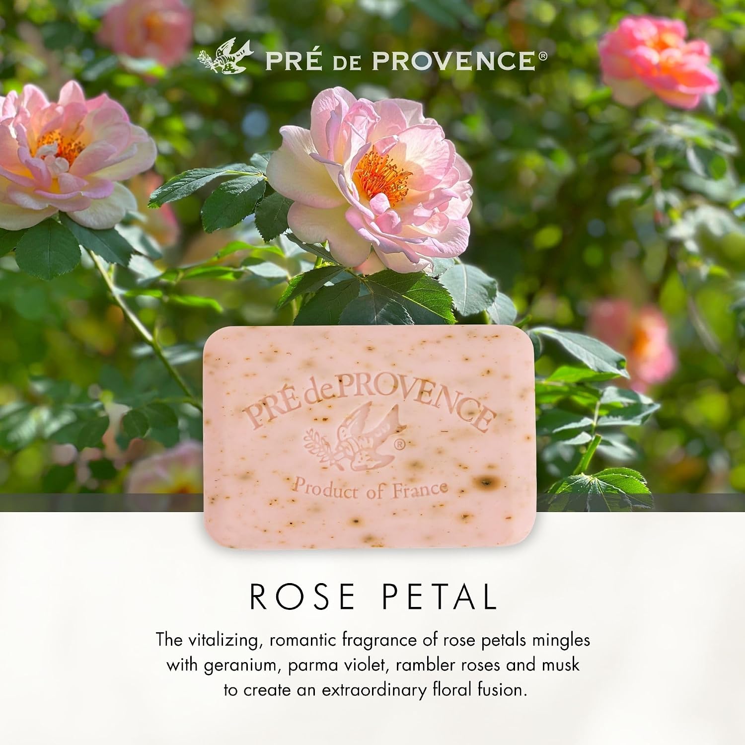 Pre de Provence Artisanal Soap Bar, Natural French Skincare, Enriched with Organic Shea Butter, Quad Milled for Rich, Smooth & Moisturizing Lather, Linden, 5.3 Ounce