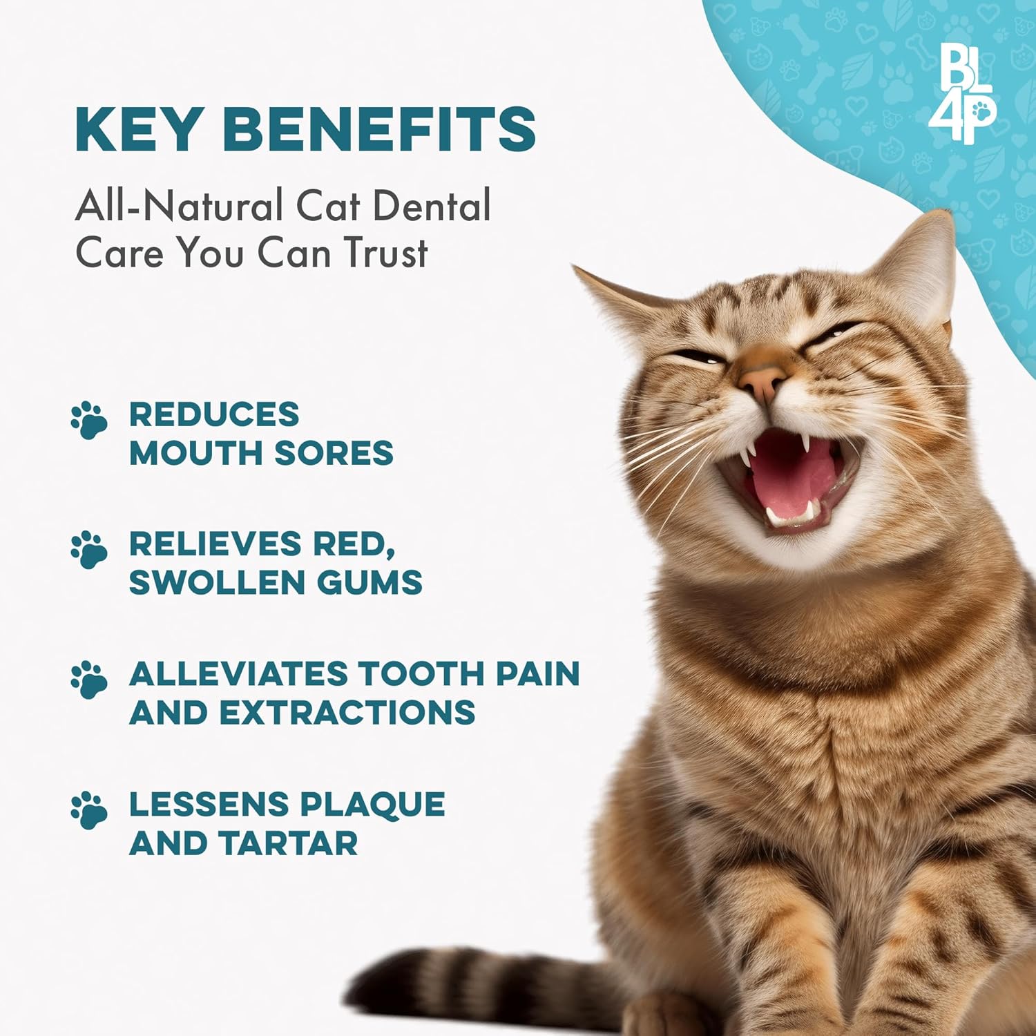 BestLife4Pets Cat Dental Care Supplement - 400 Pills