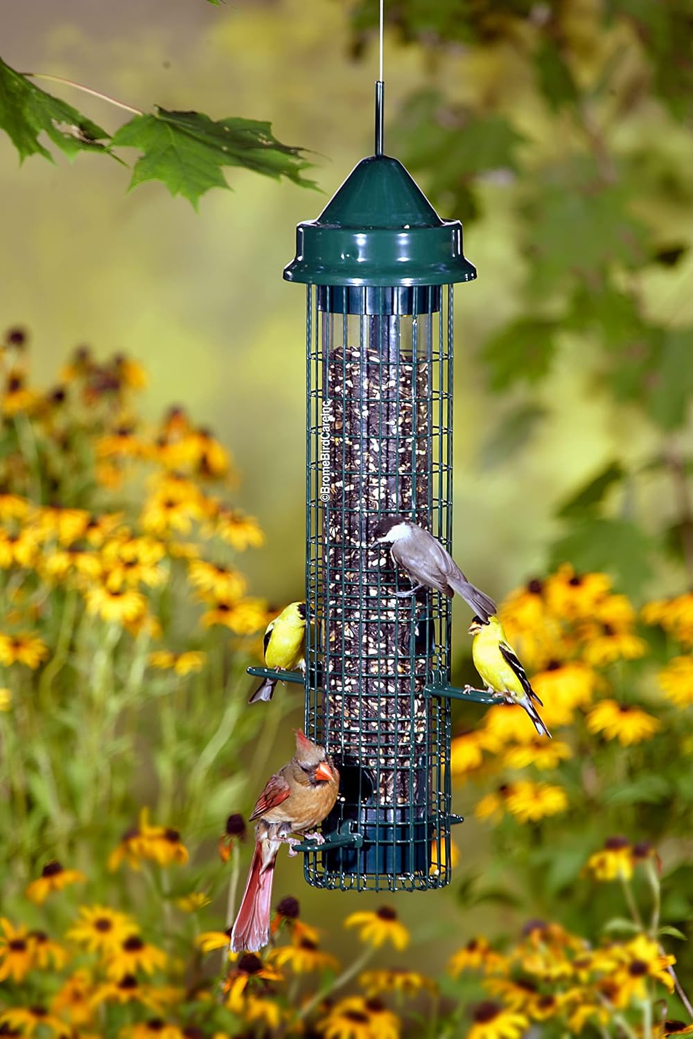 Squirrel Buster Classic Squirrel-proof Bird Feeder w/4 Feeding Ports, 2.4-pound Seed Capacity | Four feeding ports, weight-sensitive closure