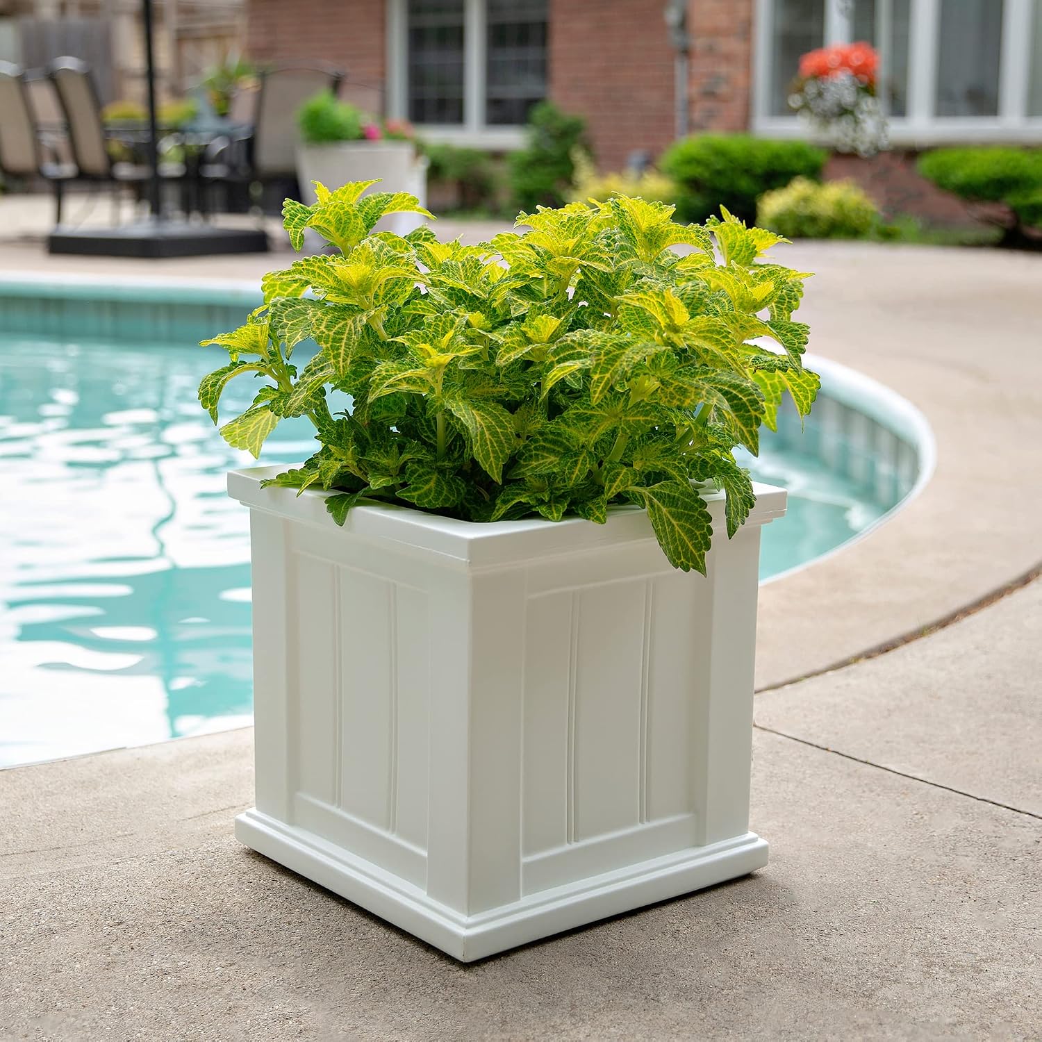 Mayne Cape Cod 14in Self-Watering Square Planter, Black | Self-watering, All season, Fade resistant, Double-wall design, 15-year warranty