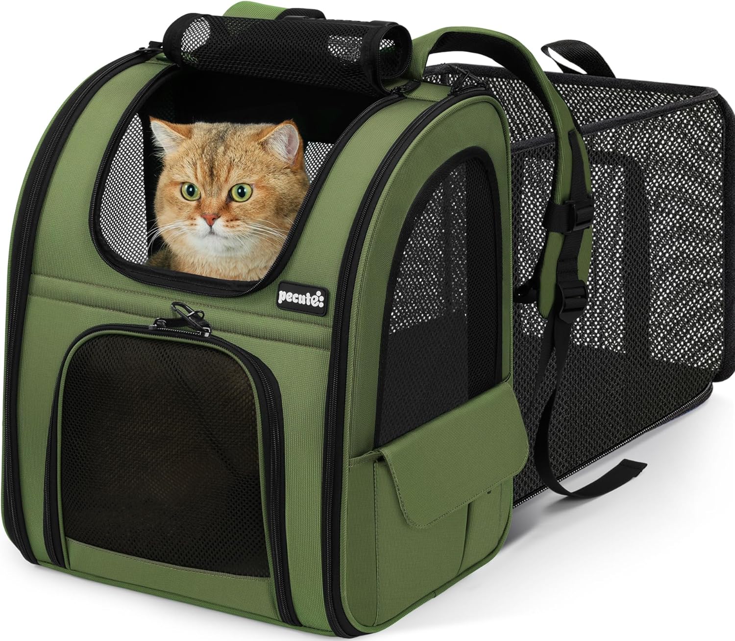 pecute Cat Backpack Expandable, Cat Carrier Backpack with Breathable Window