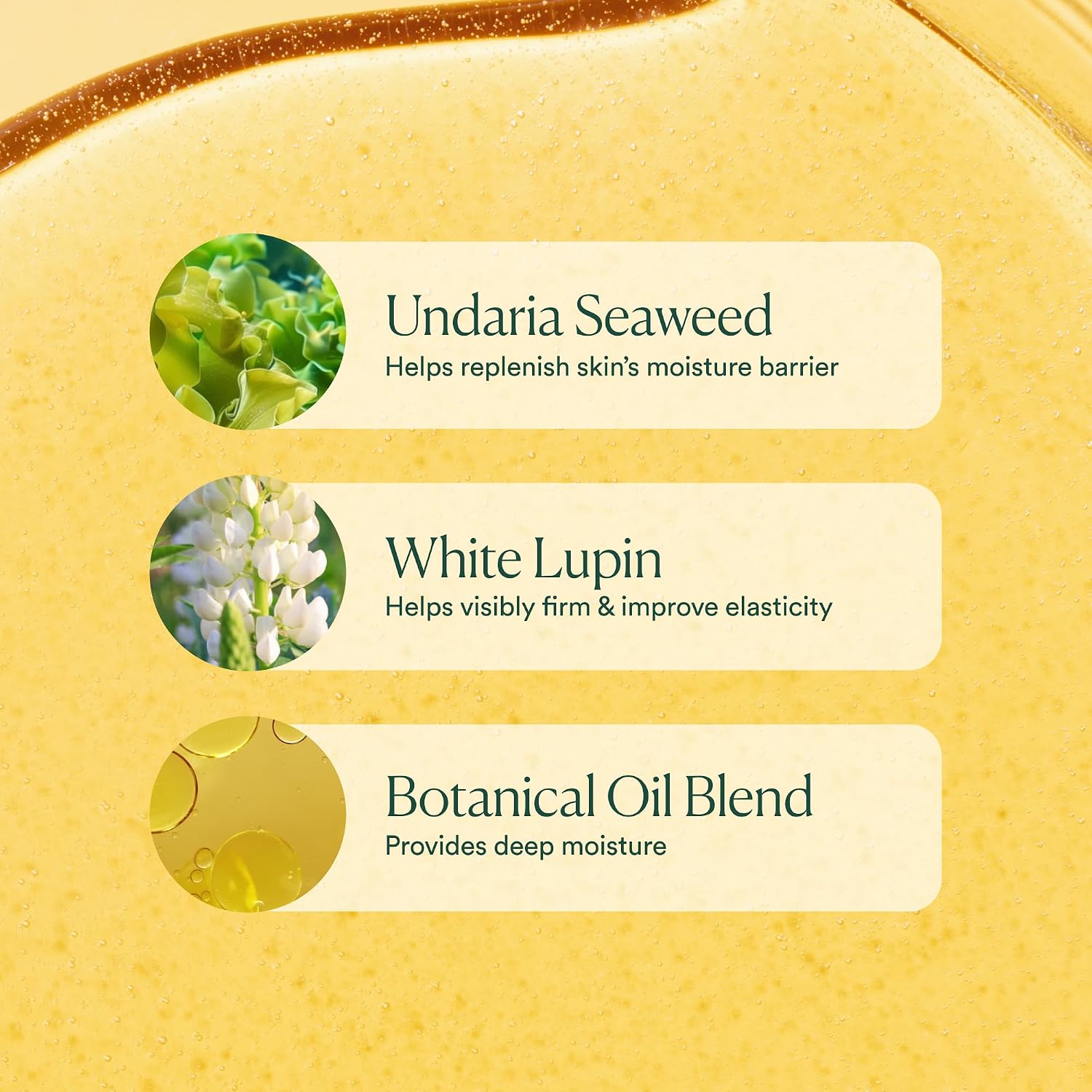 OSEA Undaria Algae Body Oil 5 oz – Visibly Firming, Deeply Moisturizing, Instantly Improve Elasticity, Clean Lightweight Non-Greasy Hydration, Vegan & Cruelty-Free Seaweed Skincare | Improves Elasticity • Silky Body Glow • Lightweight, Non-Greasy • Citru…