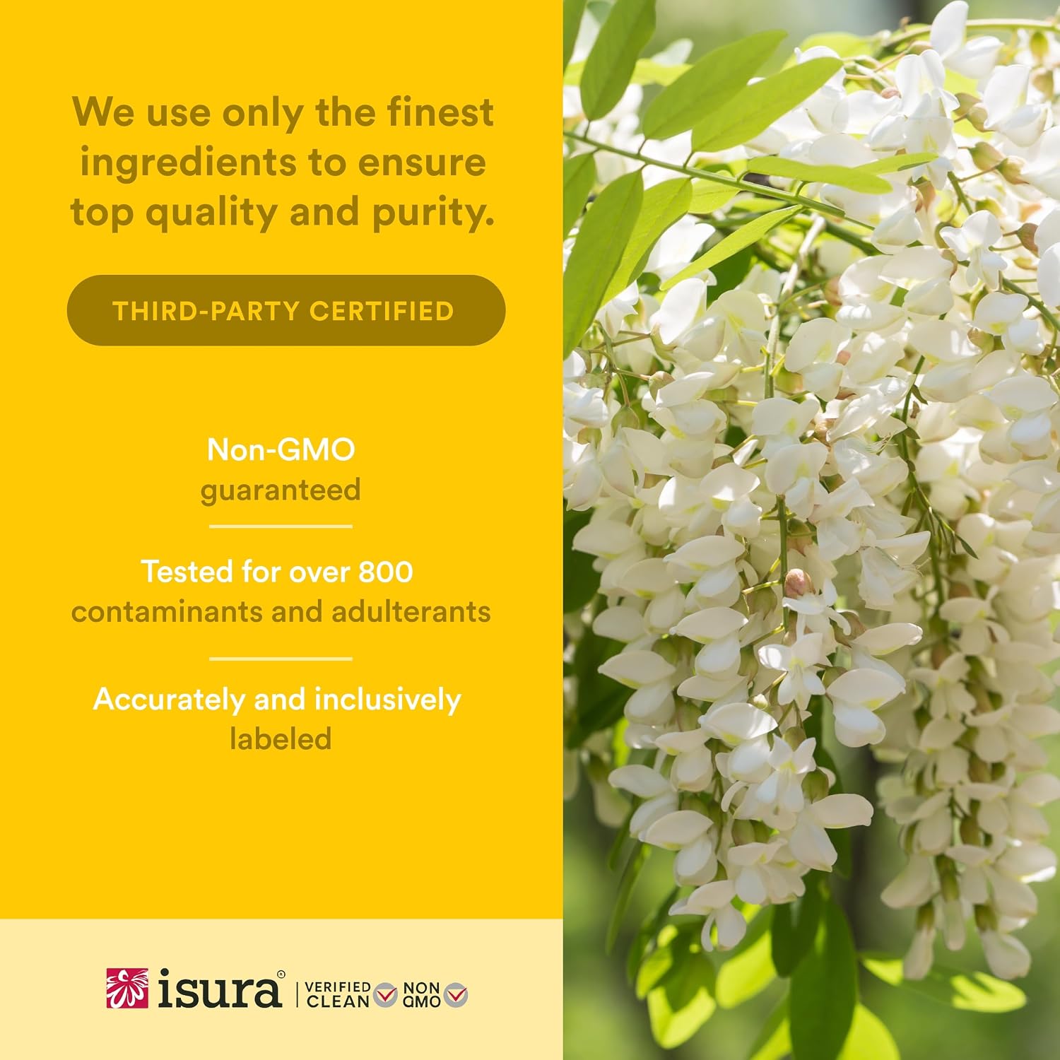 Natural Factors Quercetin LipoMicel Matrix 250 mg, 60 Softgels