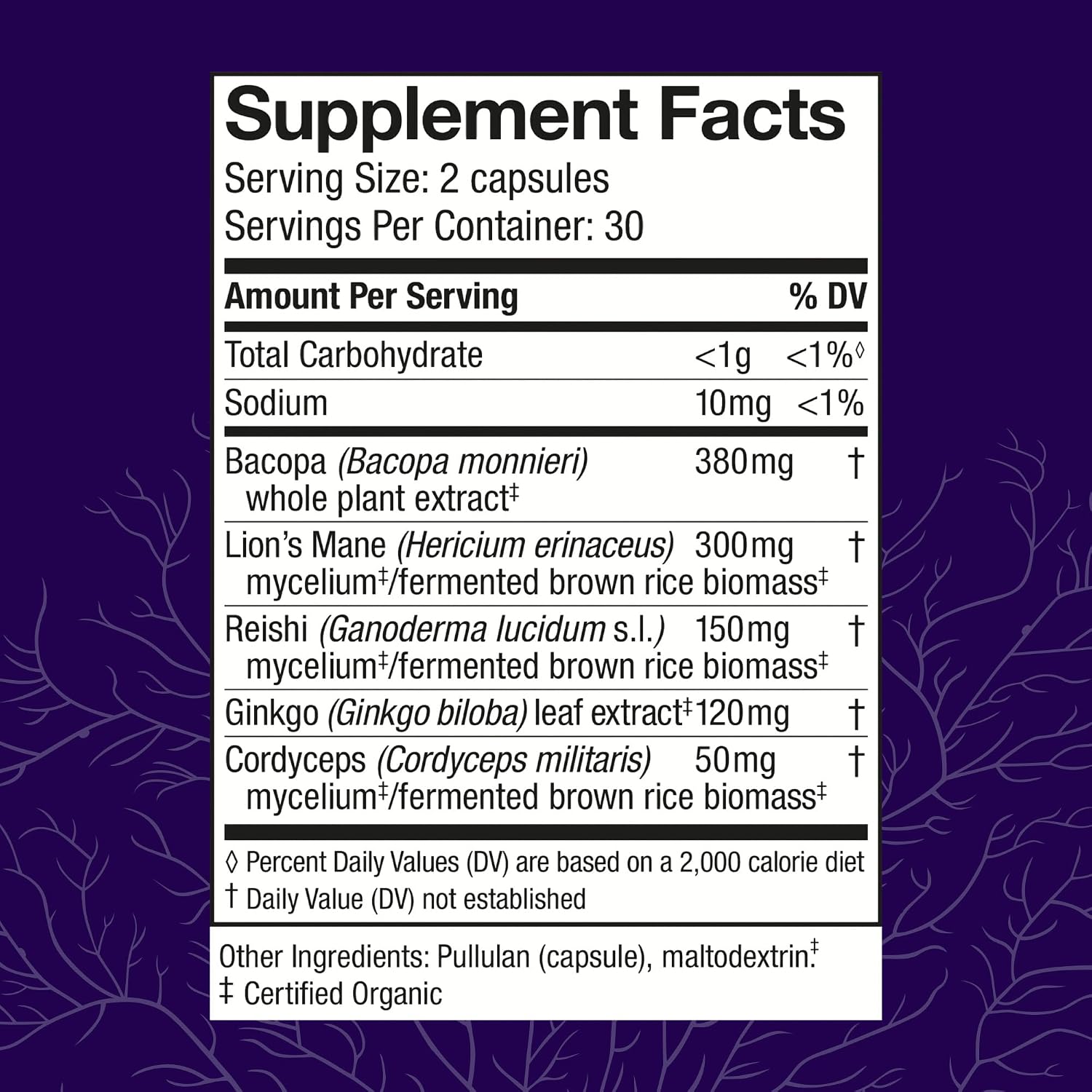 Host Defense MycoBotanicals Brain* Capsules - Brain Support Supplement with Lion's Mane, Reishi & Cordyceps Mushroom - Herbal Supplement for Memory & Focus Support - 60 Capsules