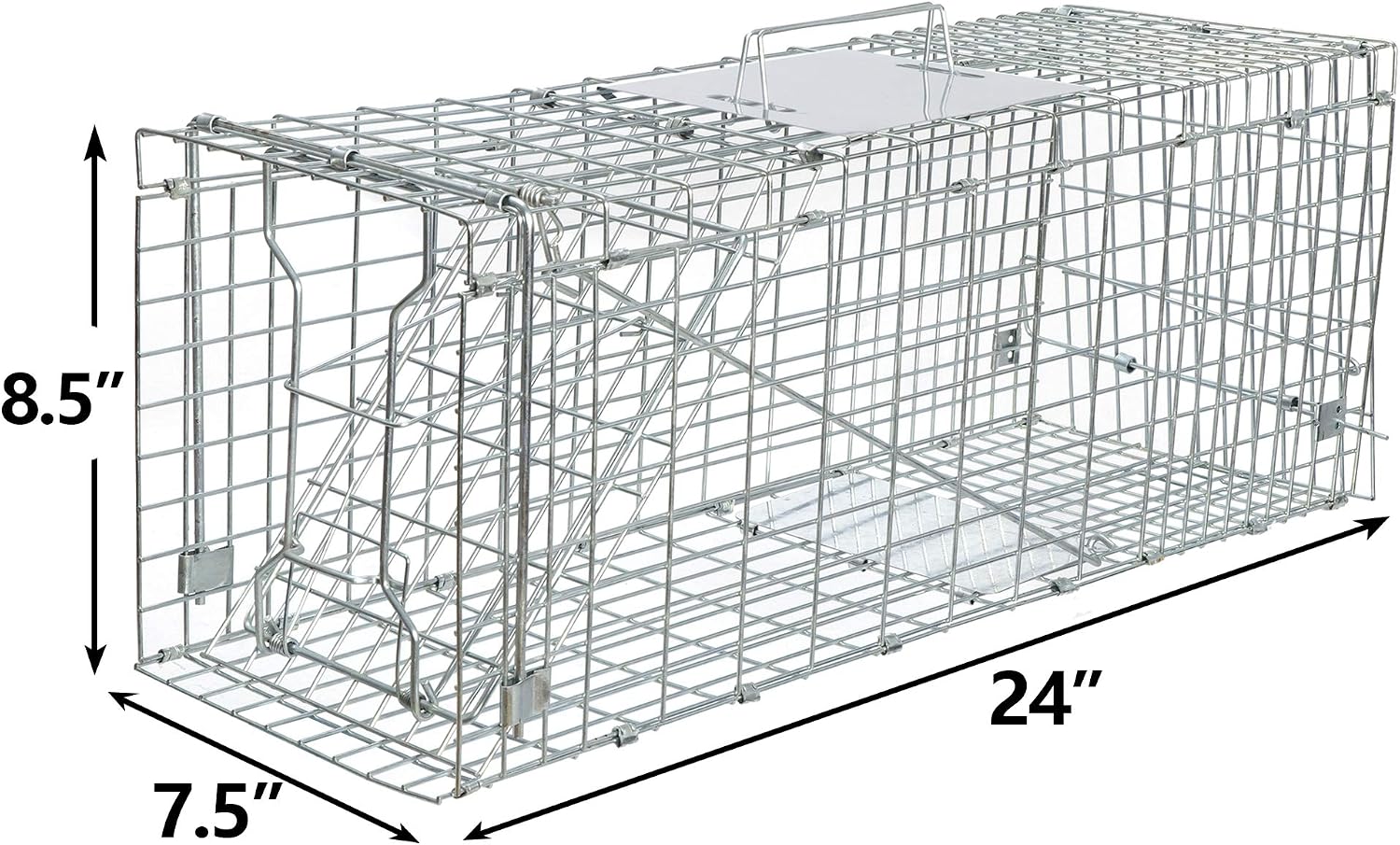 ANT MARCH Live Animal Cage Trap 24" Steel Humane Release Rodent Cage
