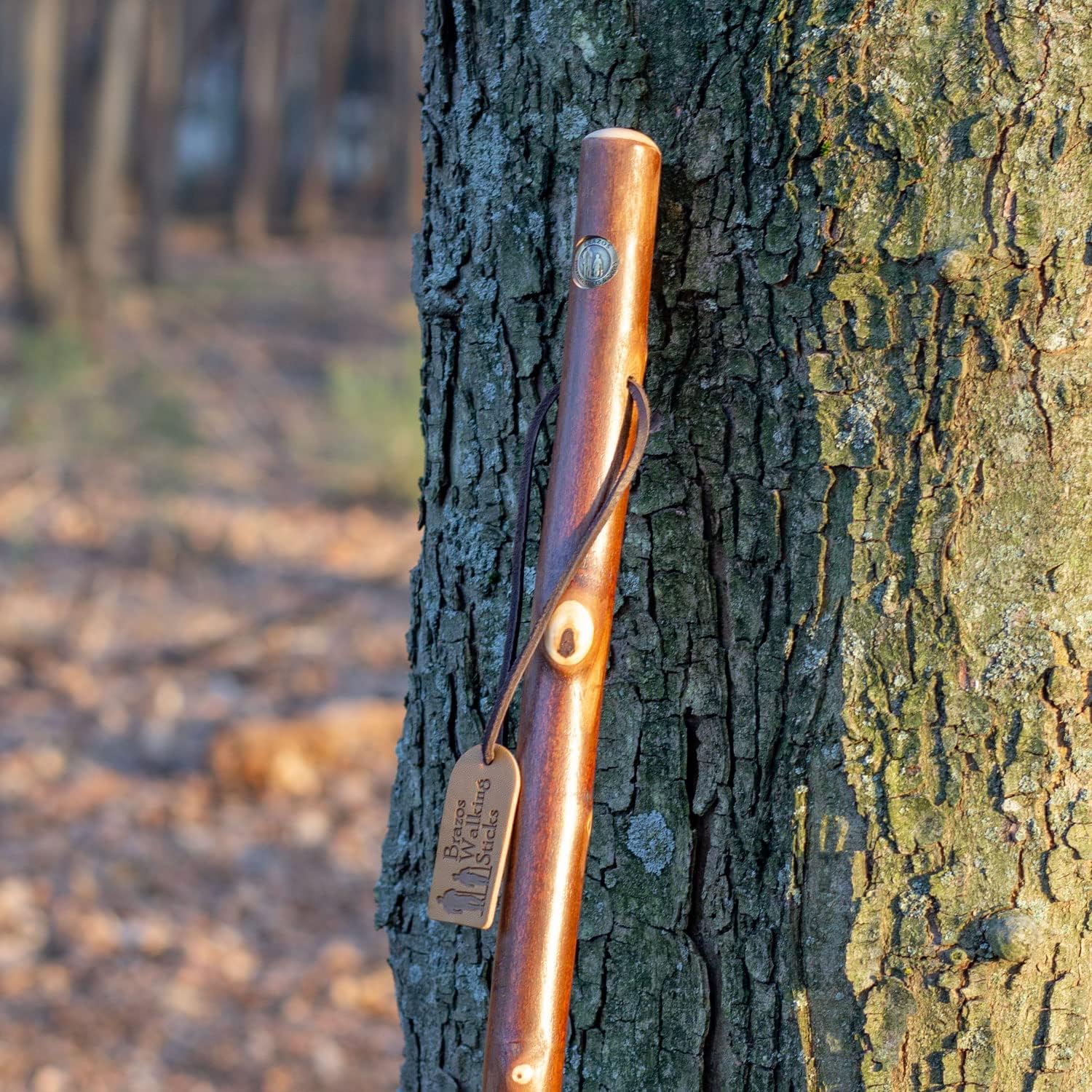Brazos Rustic Wood Walking Stick, Maple, Traditional Style Handle, for Men & Women, Made in The USA, 55"