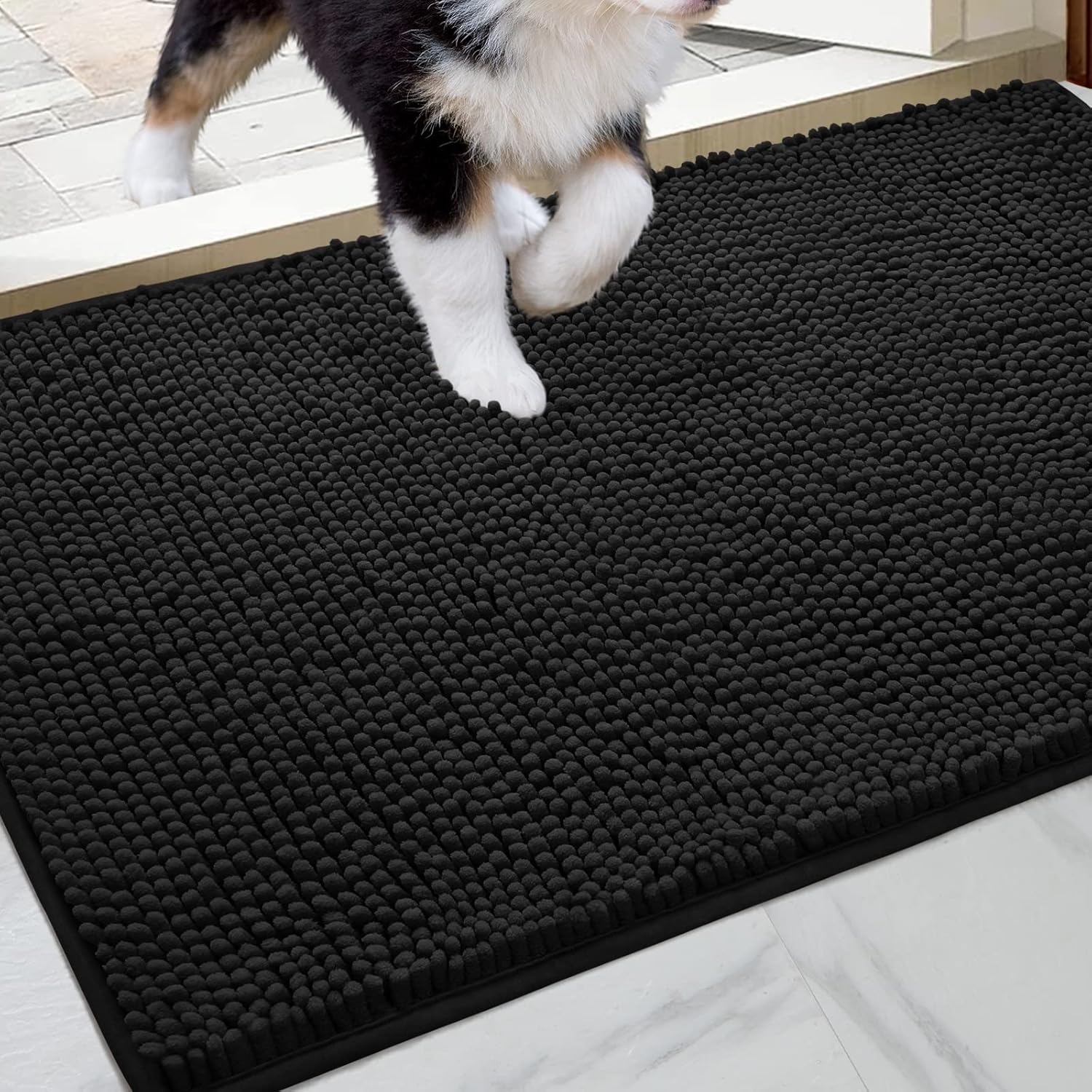 HOMEIDEAS Dog Door Mat for Muddy Paws 30x20, Absorbs Moisture and Dirt, Non-Slip Washable Doormat, Soft Chenille Mud Mat for Dogs
