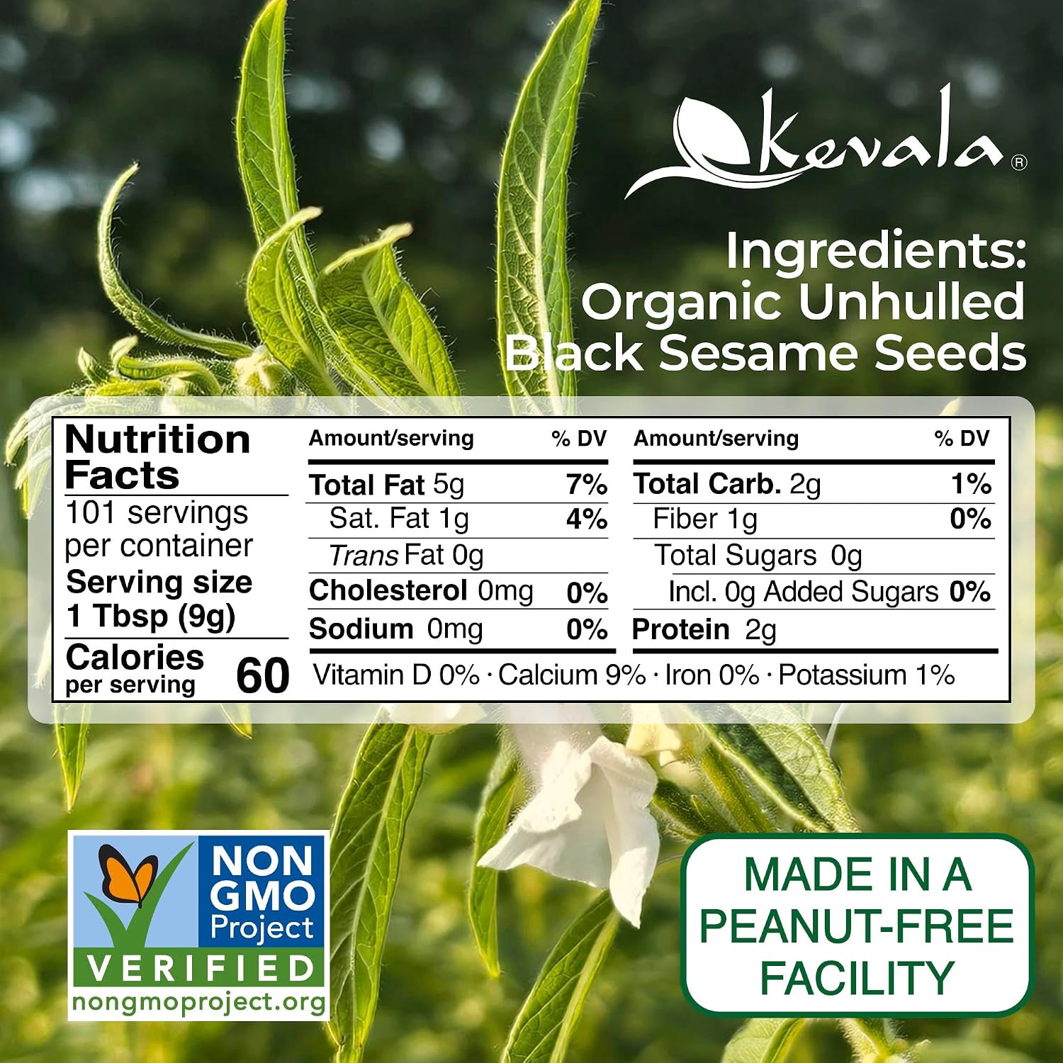 Organic Black Toasted Sesame Seeds - 1 lb, 16 oz, Unhulled Roasted Seeds | For Preparing a Black Tahini Paste and Hummus Dip, Gluten Free Kitchen Staple, Addition to Your Bagel and Salad Toppings