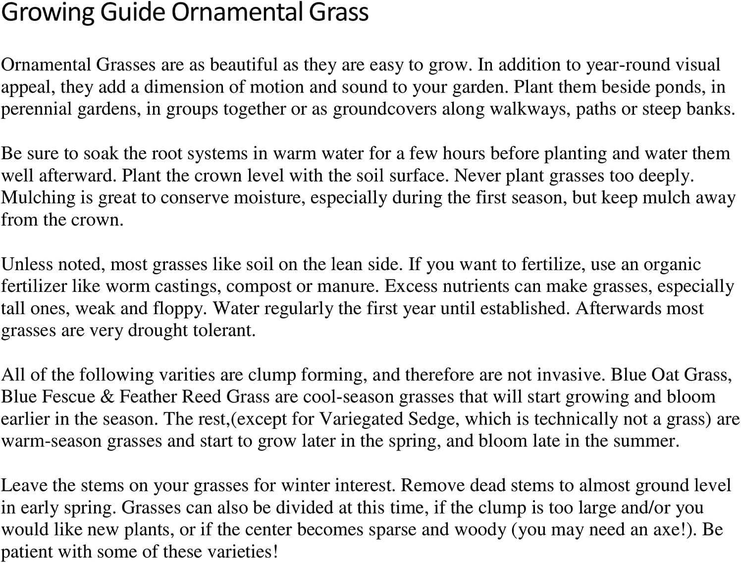 2 Horsetail Grass in 4 Inch Pots (2 Four Inch Pots with The Grass 3-6 Canes) in Each Pot