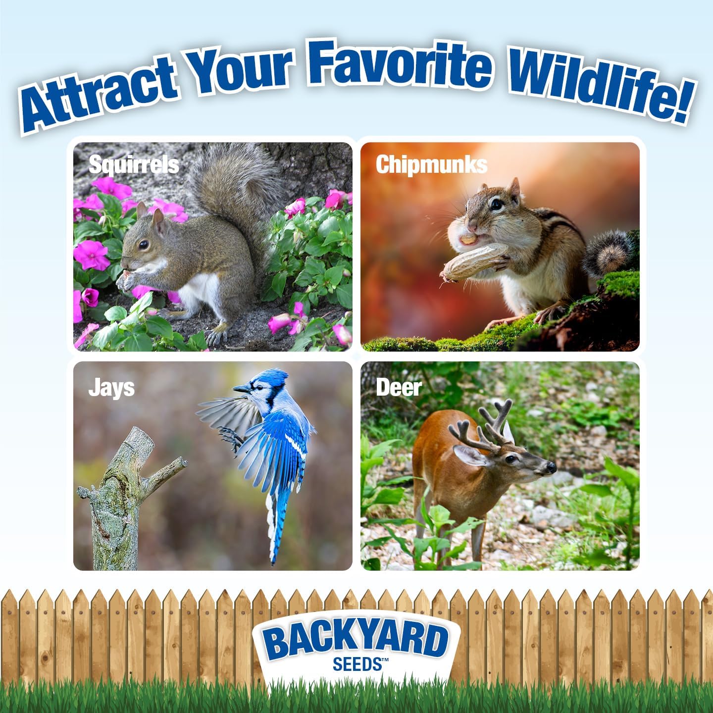 CountryMax Backyard Seeds Squirrel & Chipmunk Food Mix – 8 lb Bag – Premium Wildlife Blend with Sunflower Seeds, Peanuts & Corn – Ideal for Squirrels, Chipmunks, Rabbits & Backyard Birds​